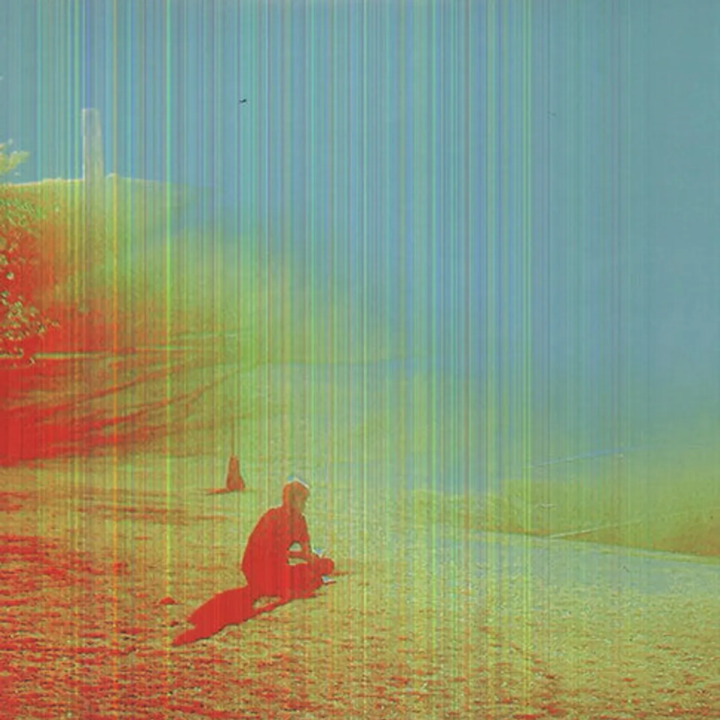 The Flaming Lips LP Vinyl - Terror
