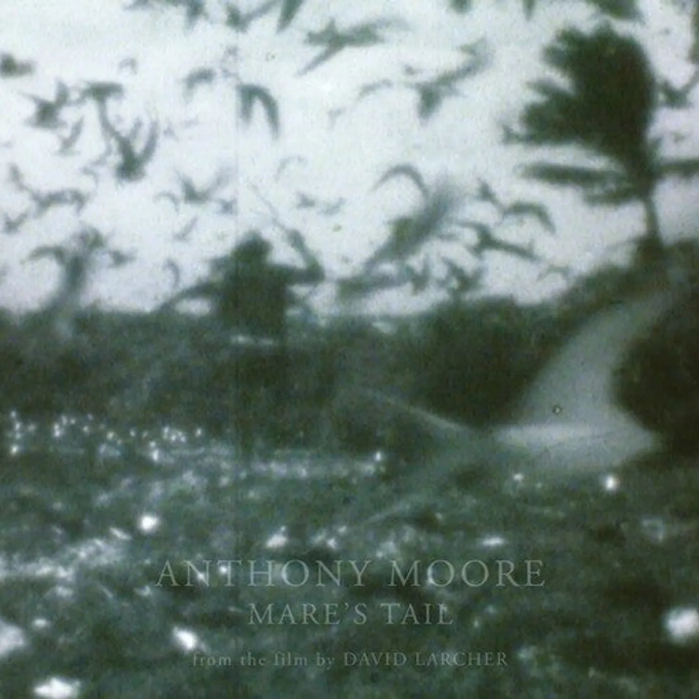 Anthony Moore LP Vinyl - Mare'S Tail