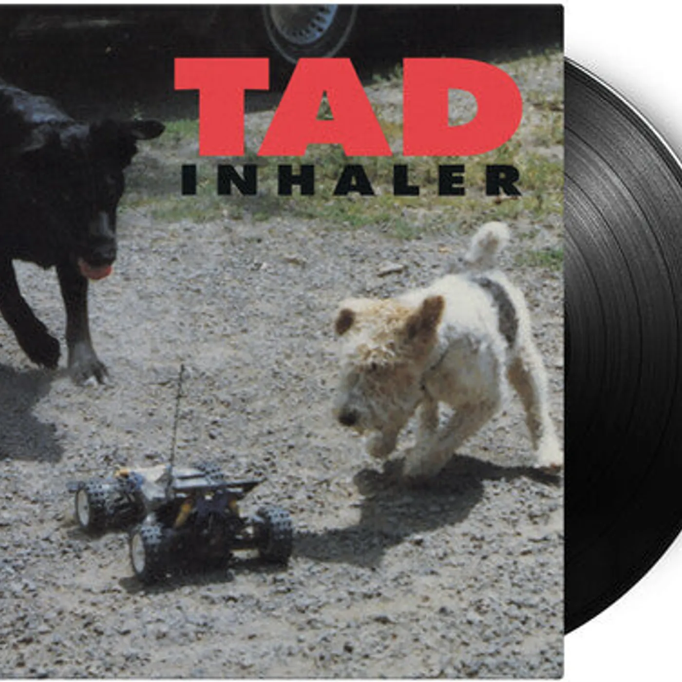 Tad LP Vinyl - Inhaler (Blk) (Ogv) (Hol)