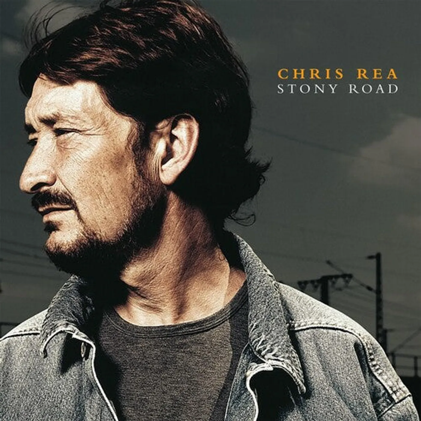 Chris Rea LP Vinyl - Stony Road (Coloured Vinyl) (Gate Fold) (Org)
