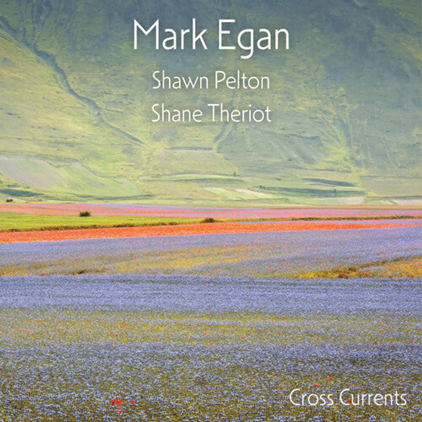Mark Egan LP Vinyl - Cross Currents (Ogv)