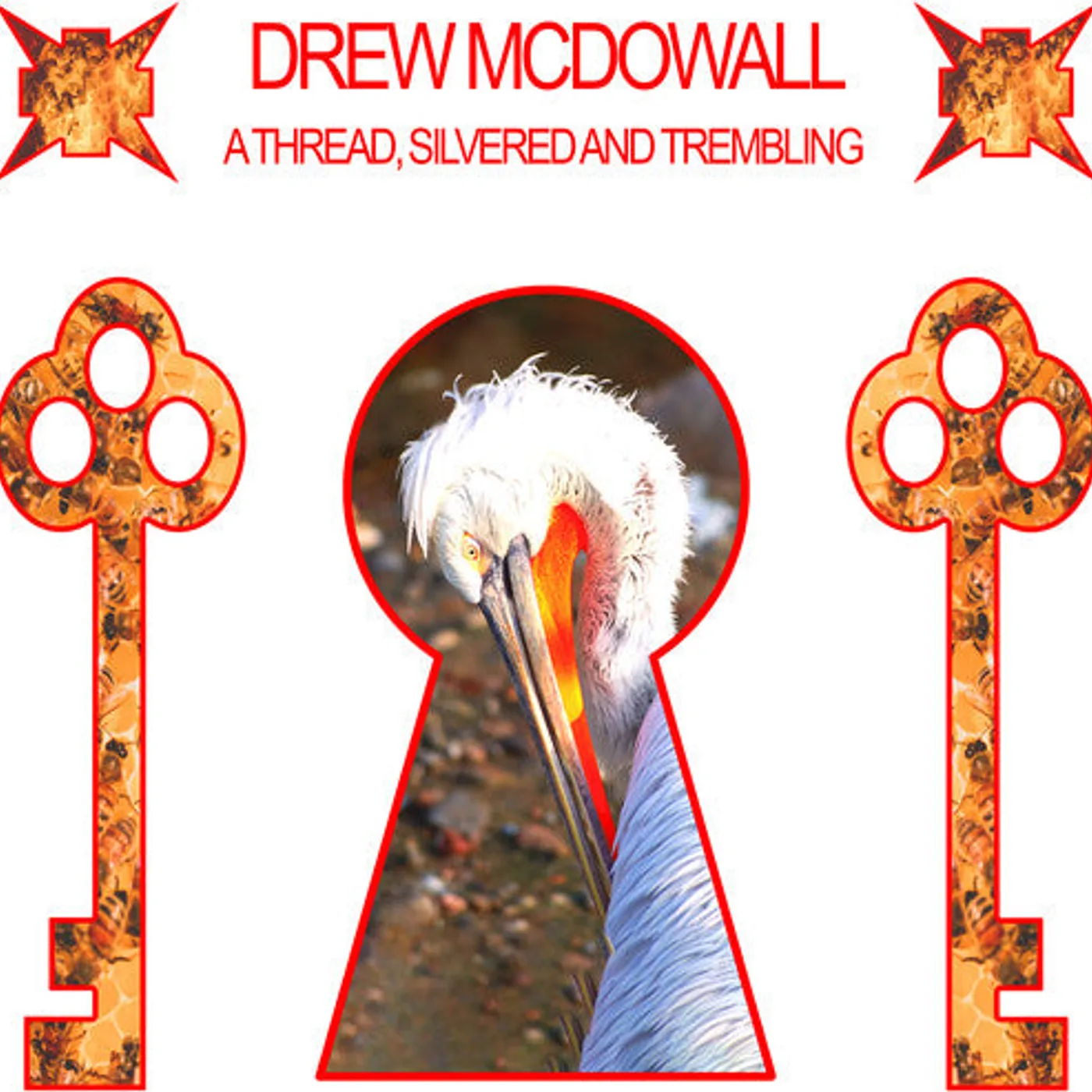 Drew Mcdowall LP Vinyl - Thread Silvered & Trembling