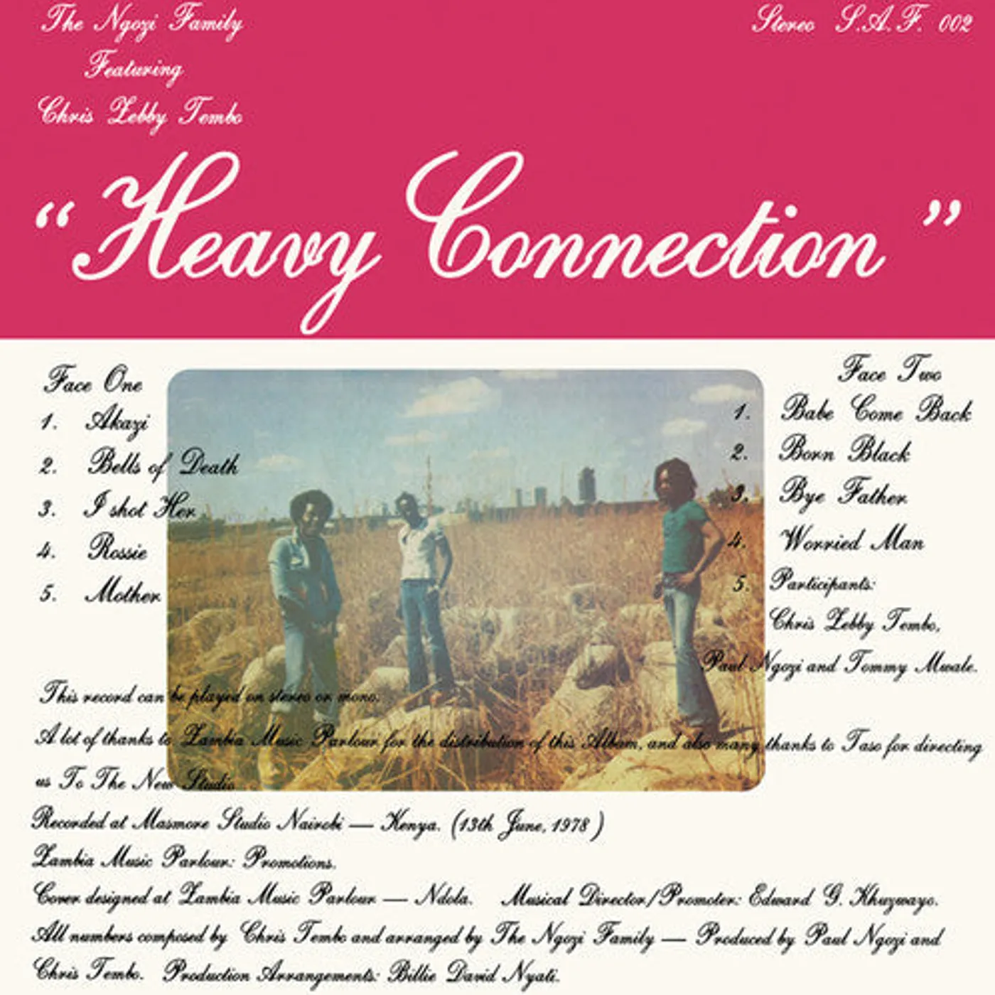 Ngozi Family LP Vinyl - Heavy Connection