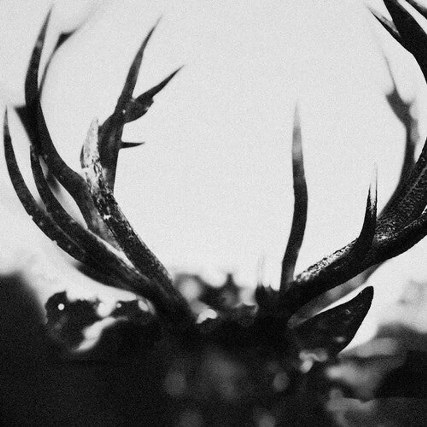 Ihsahn LP Vinyl - Ihsahn