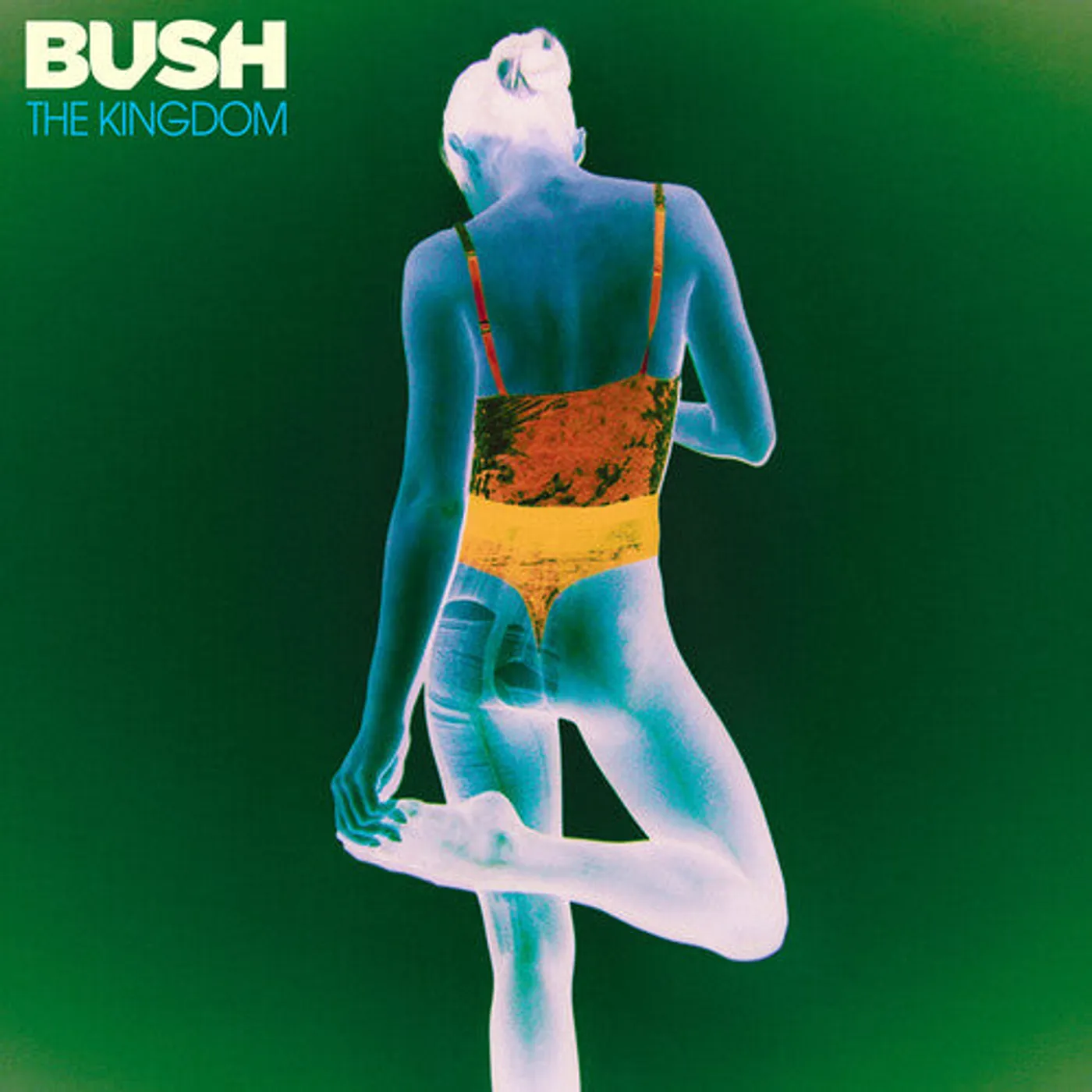 Bush LP Vinyl - Kingdom
