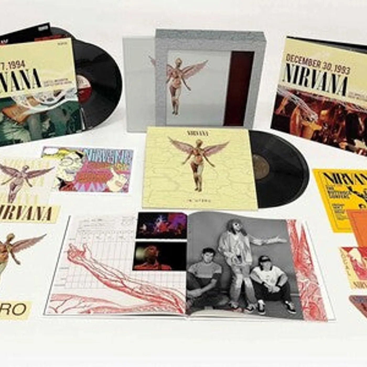 Nirvana LP Vinyl - In Utero (Box) (Dlx) (Aniv)