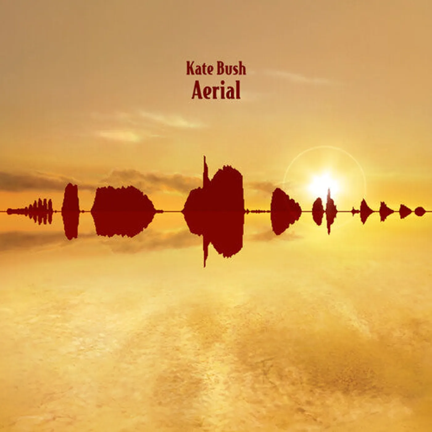 Kate Bush LP Vinyl - Aerial (Ogv) (Rmst) (Uk)