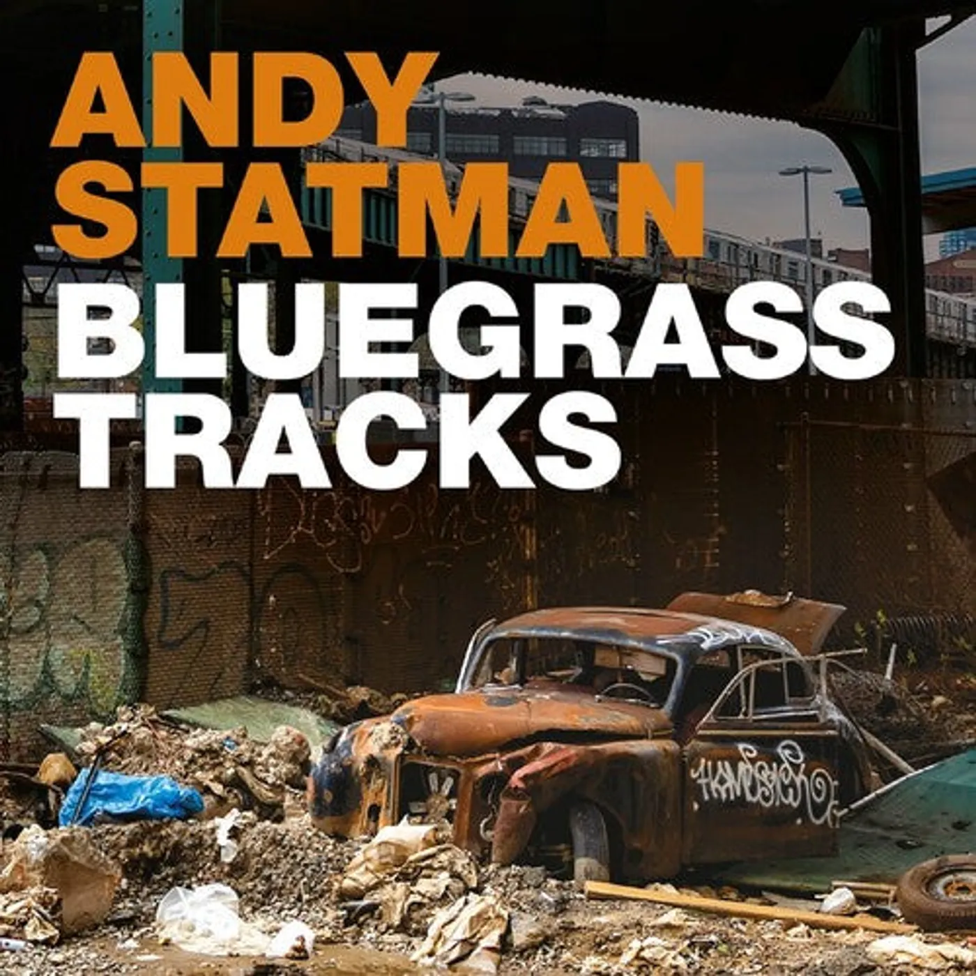 Andy Statman LP Vinyl - Bluegrass Tracks
