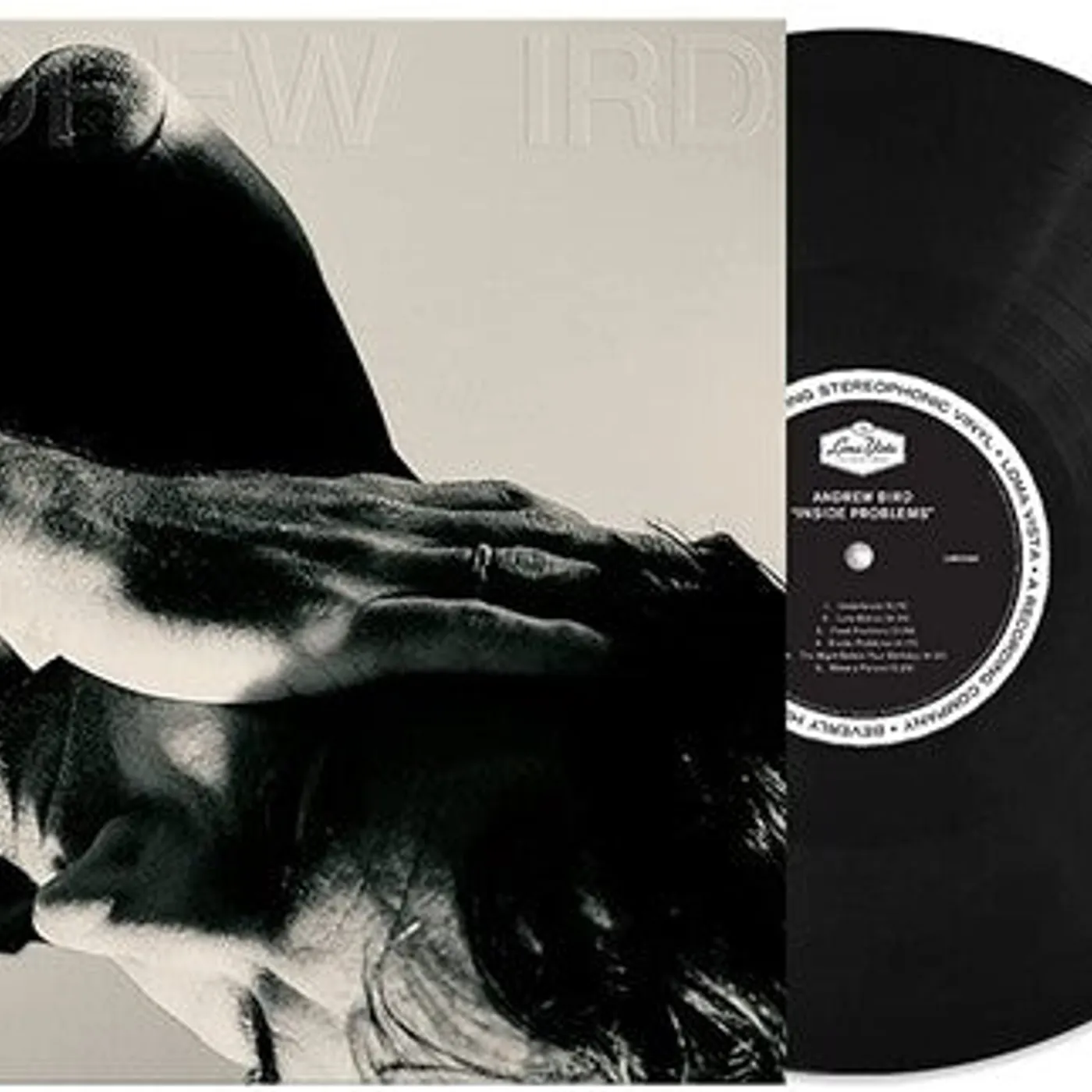 Andrew Bird LP Vinyl - Inside Problems