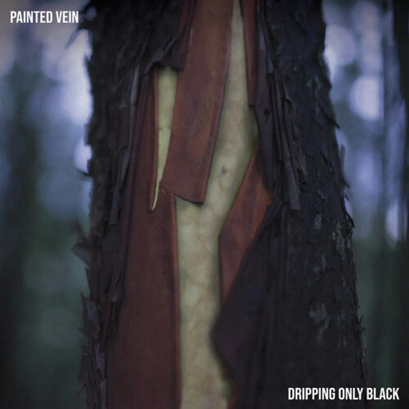Painted Vein LP Vinyl - Dripping Only Black