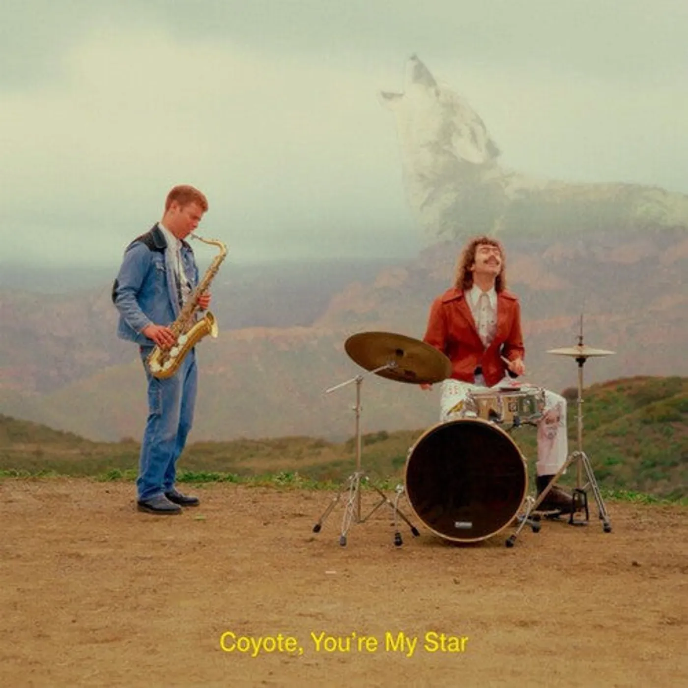 Dana and Alden LP Vinyl - Coyote You'Re My Star