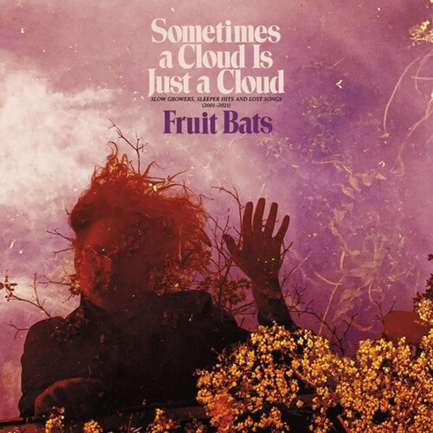 Fruit Bats LP Vinyl - Sometimes A Cloud Is Just A Cloud: Slow Growers