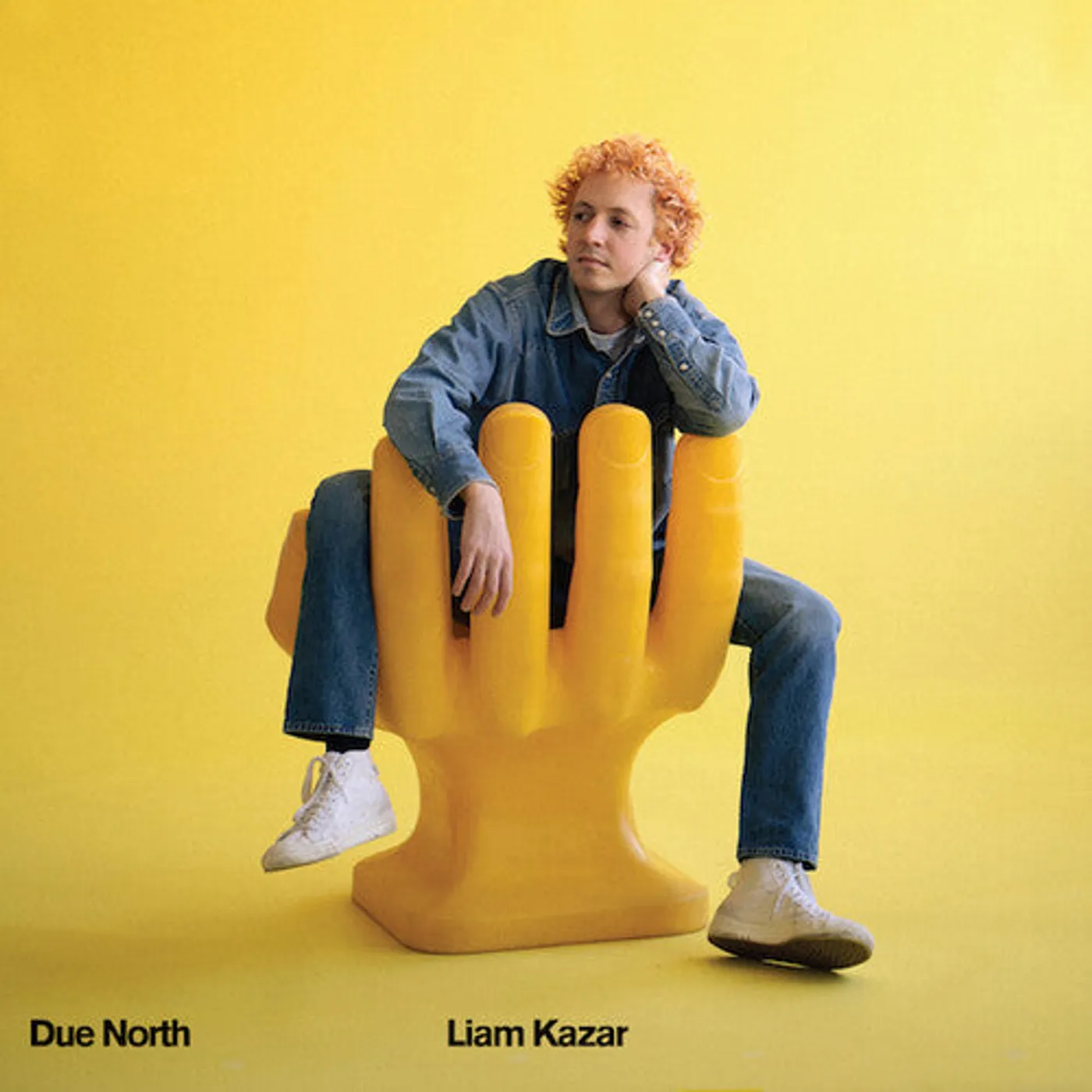 Liam Kazar LP Vinyl - Due North