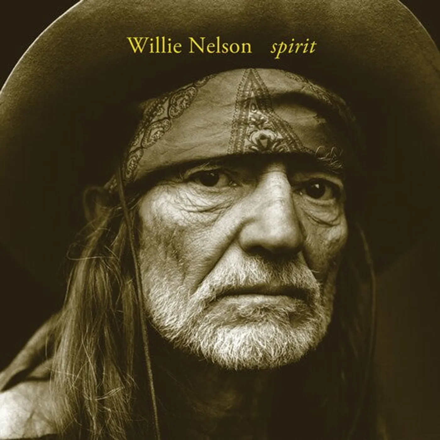 Willie Nelson LP Vinyl - Spirit