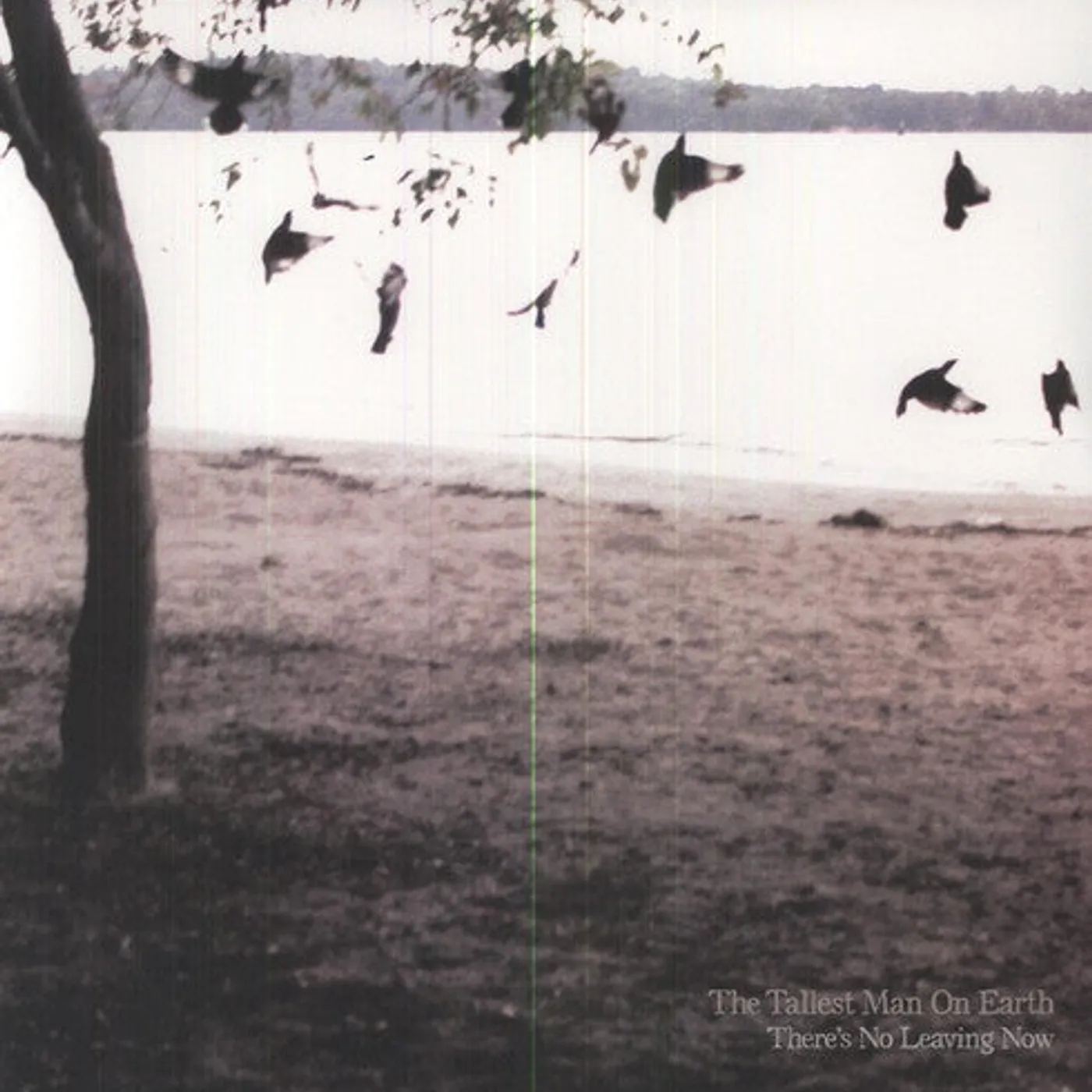 The Tallest Man On Earth LP Vinyl - There'S No Leaving Now (Mpdl)