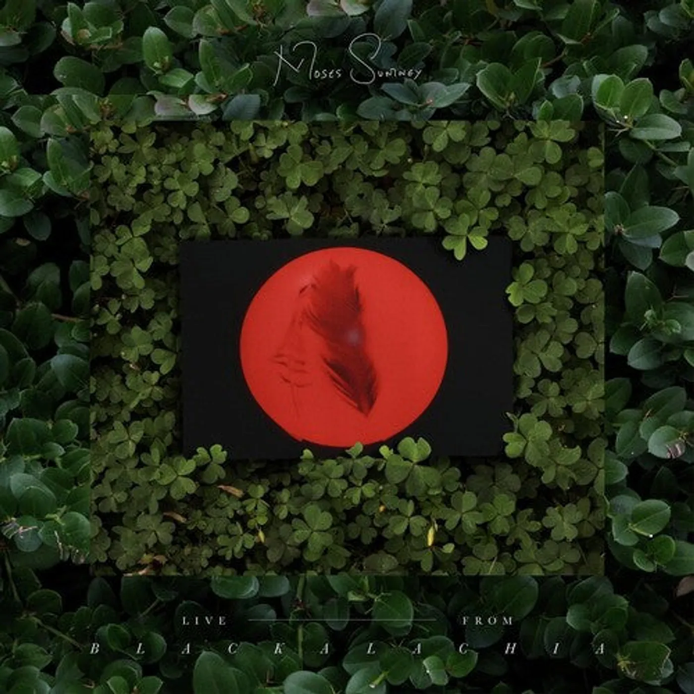 Moses Sumney LP Vinyl - Live From Blackalachia (Clear Green) (Coloured Vinyl) (Cvnl)