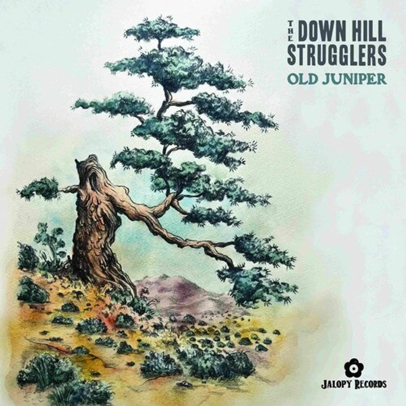 The Down Hill Strugglers LP Vinyl - Old Juniper