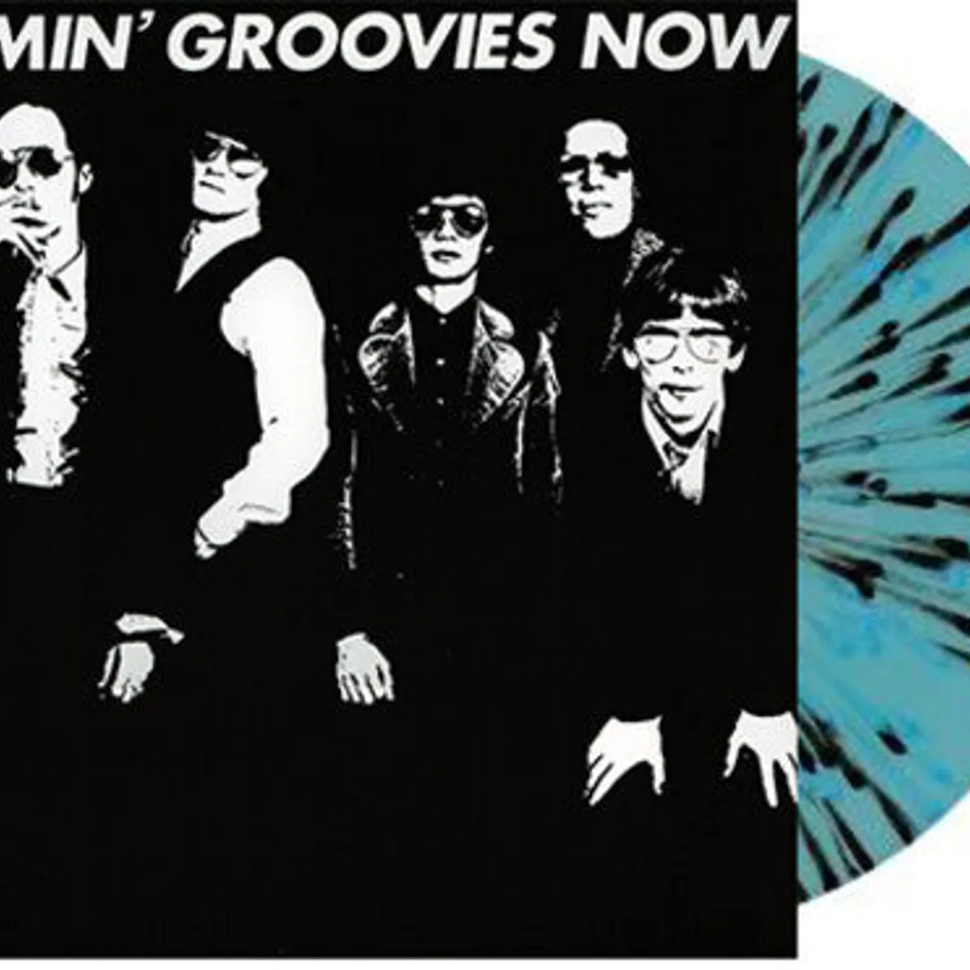 Flamin' Groovies LP Vinyl - Now