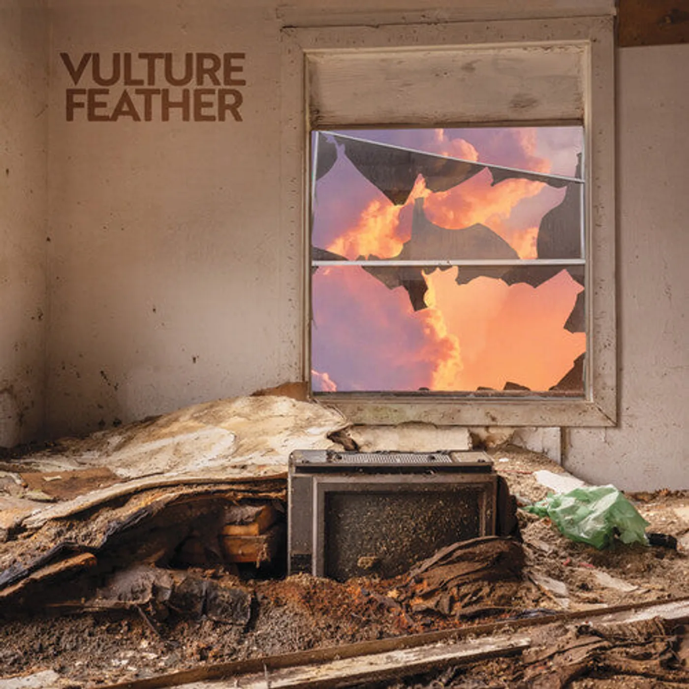 Vulture Feather LP Vinyl - It Will Be Like Now (Coloured Vinyl) (Pnk)