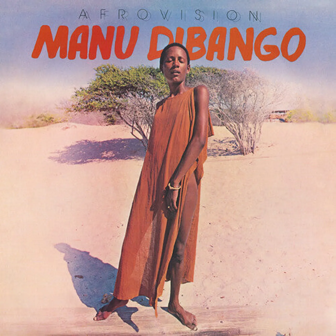 Manu Dibango LP Vinyl - Afrovision