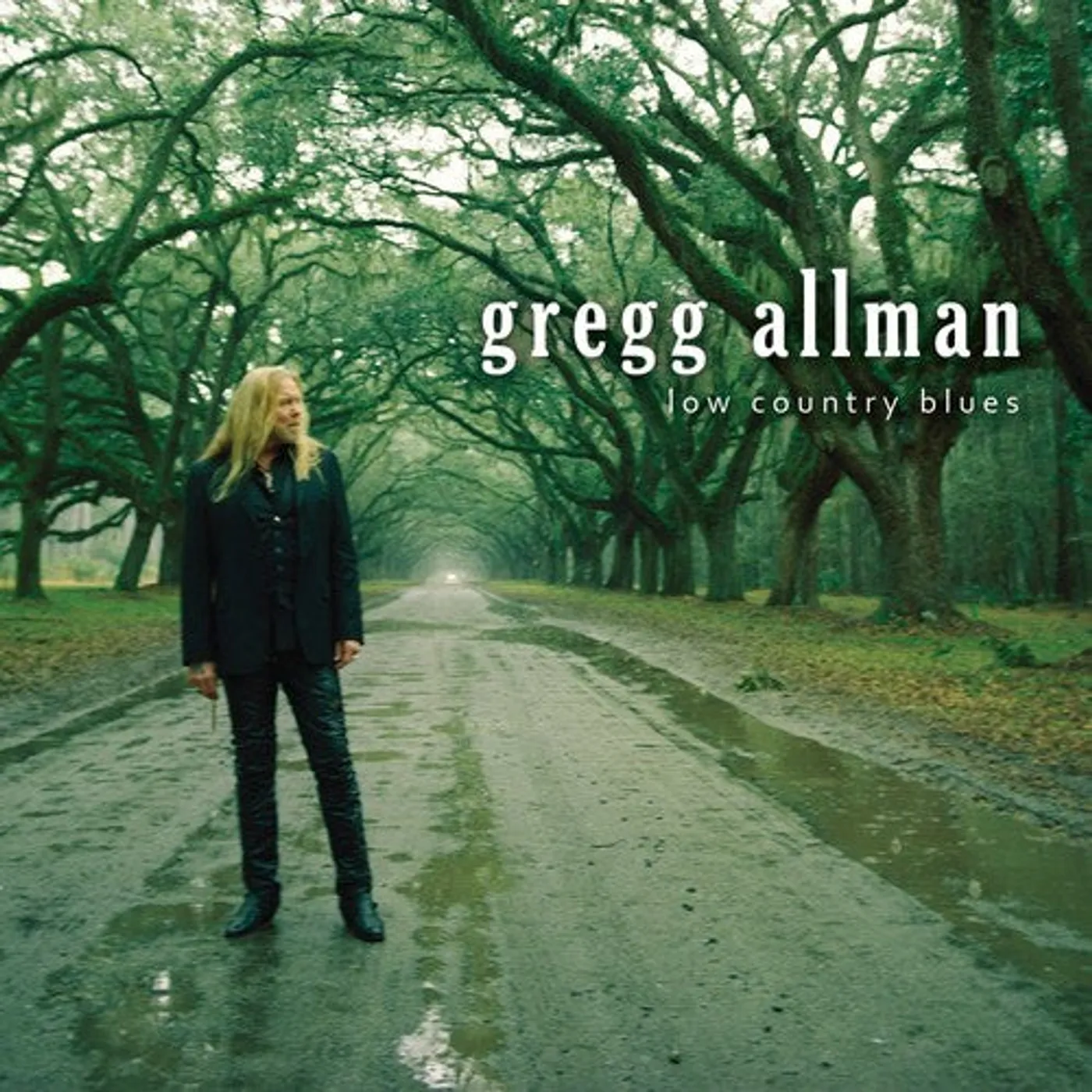 Gregg Allman LP Vinyl - Low Country Blues