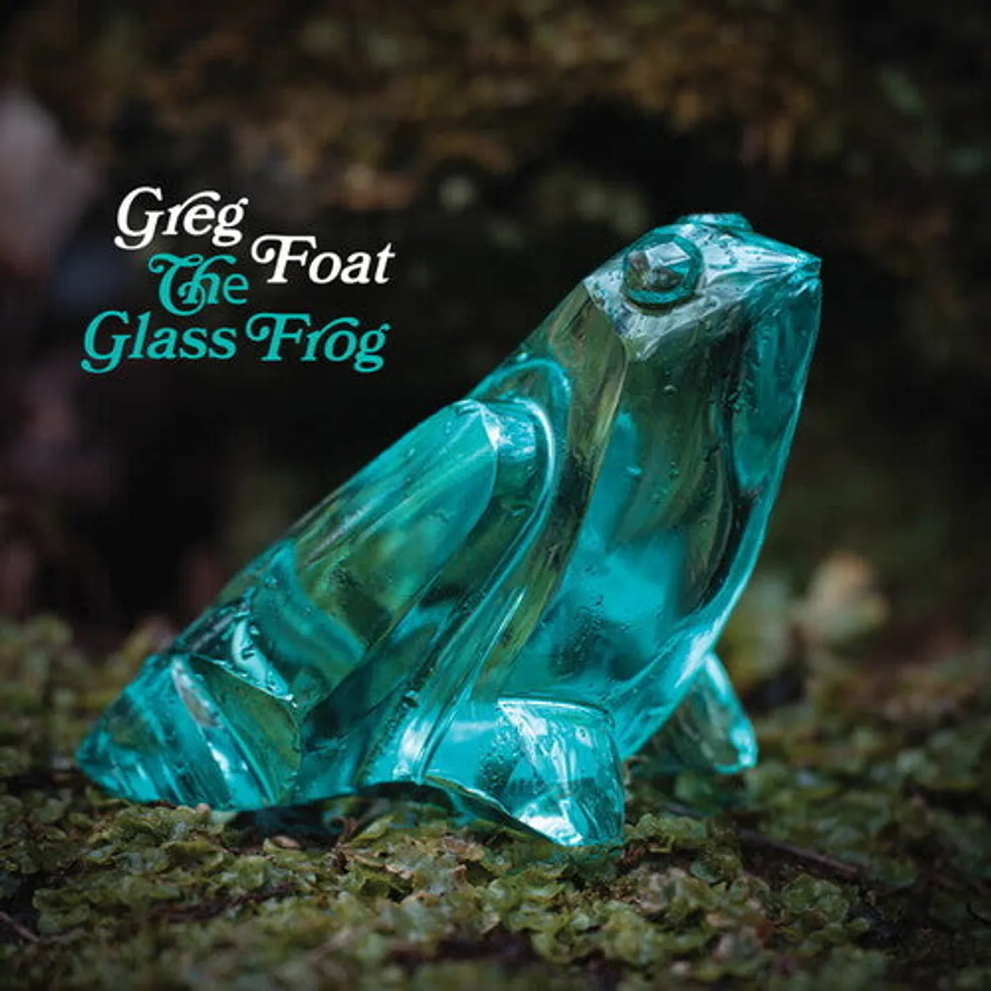 Greg Foat LP Vinyl - Glass Frog
