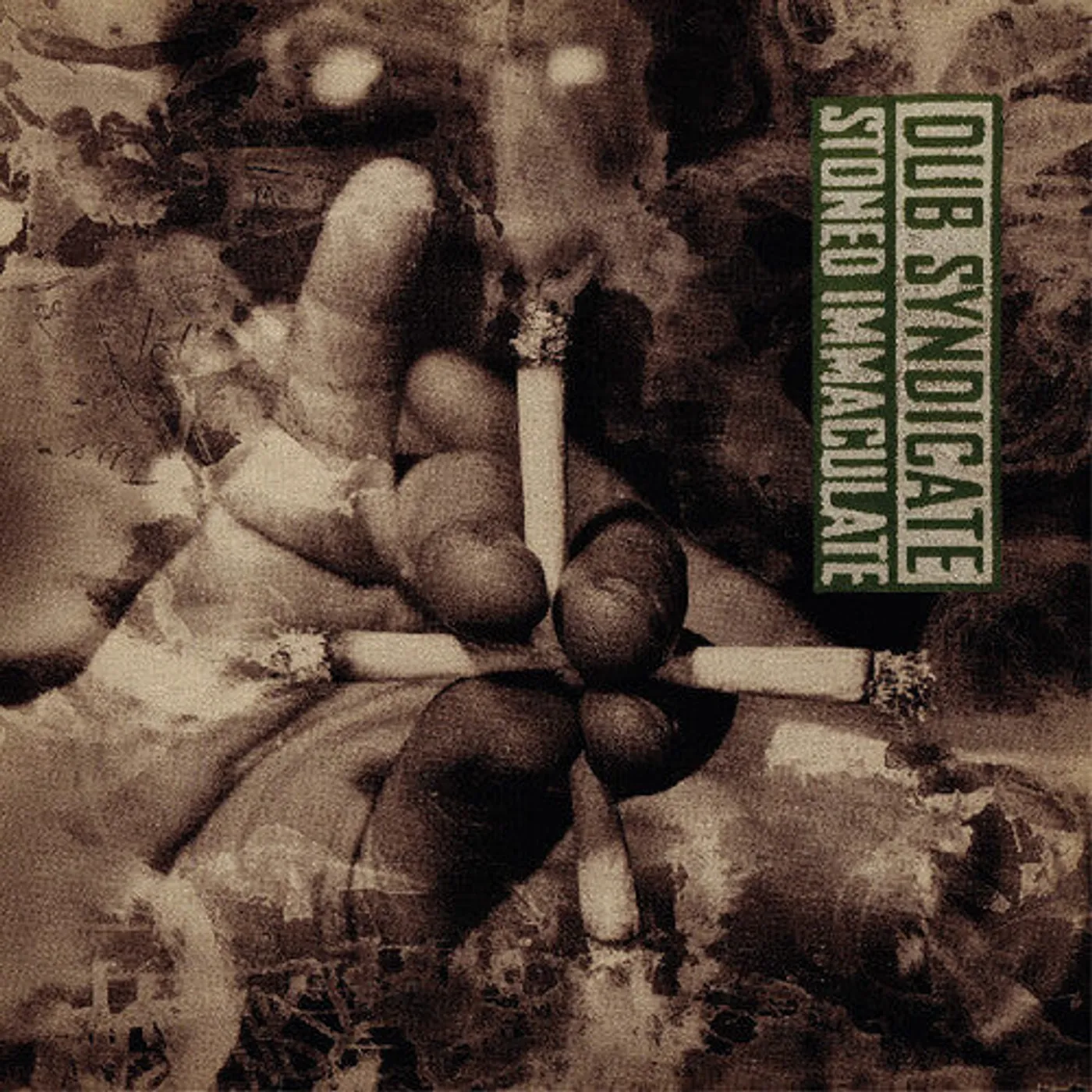 Dub Syndicate LP Vinyl - Stoned Immaculate
