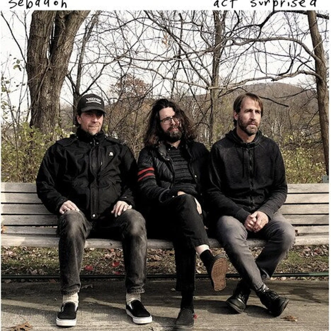 Sebadoh LP Vinyl - Act Surprised