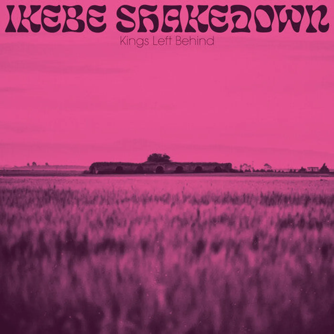 Ikebe Shakedown LP Vinyl - Kings Left Behind