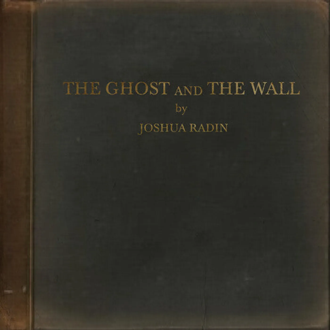 Joshua Radin LP Vinyl - Ghost & The Wall