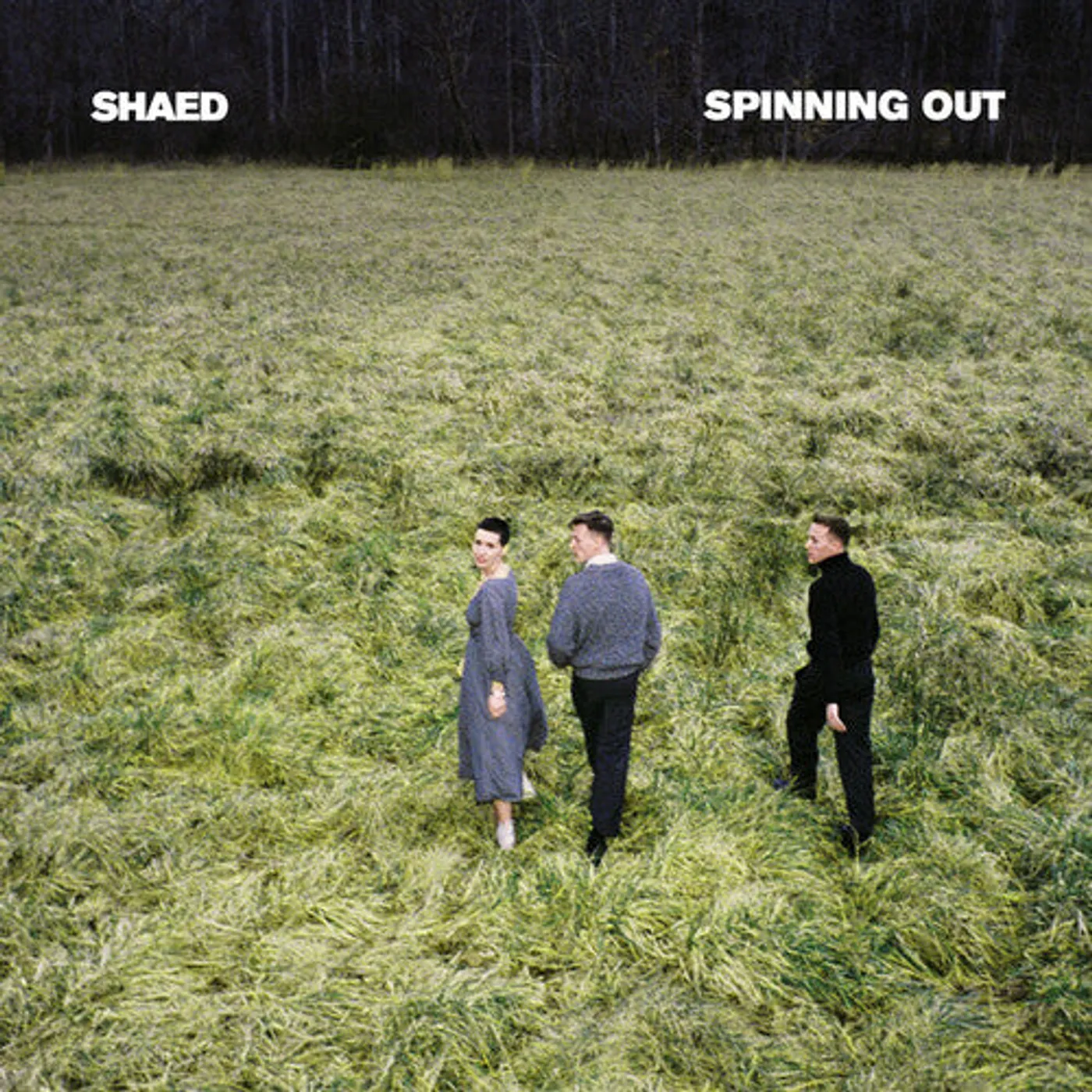 Shaed LP Vinyl - Spinning Out