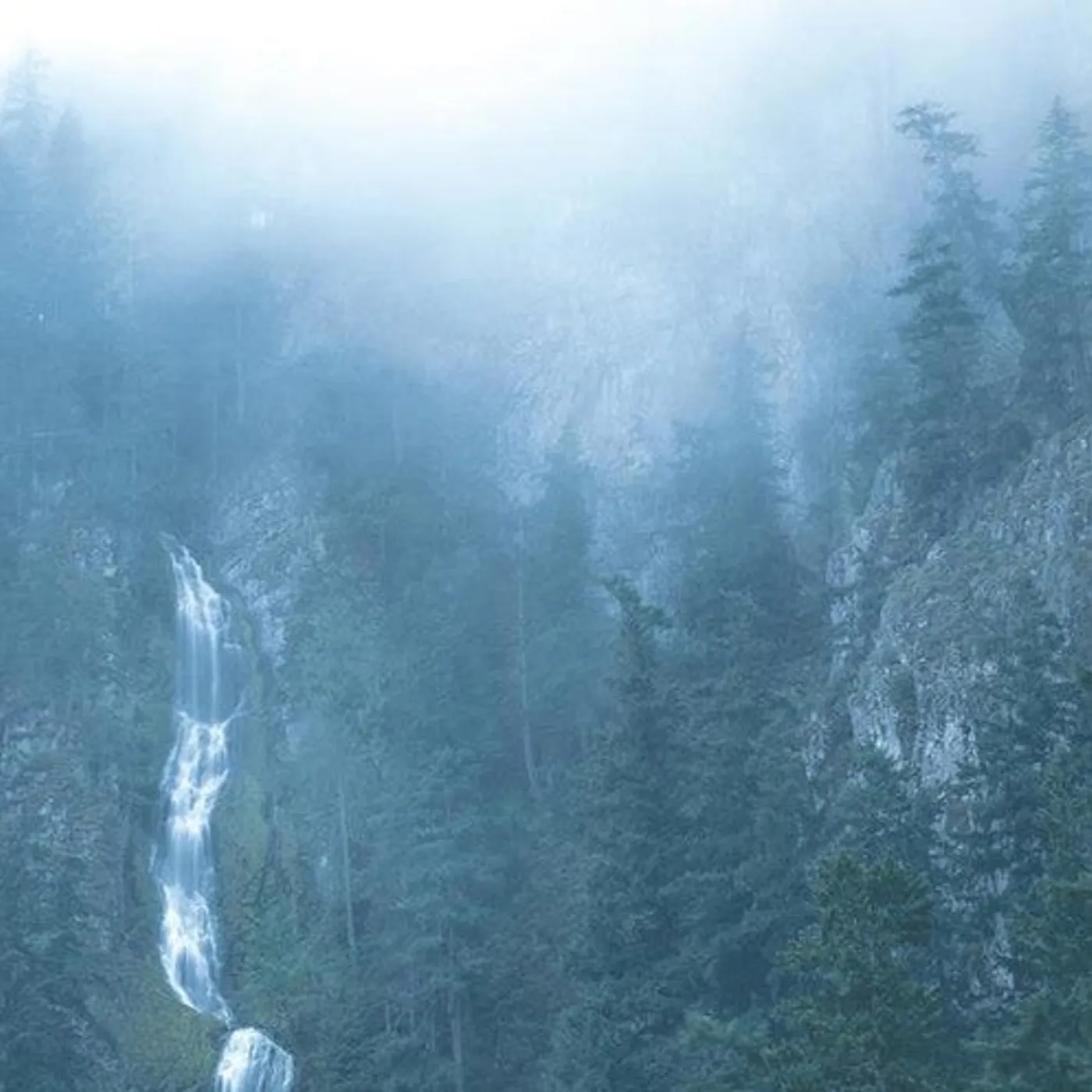 Wolves In The Throne Room LP Vinyl - Diadem Of 12 Stars