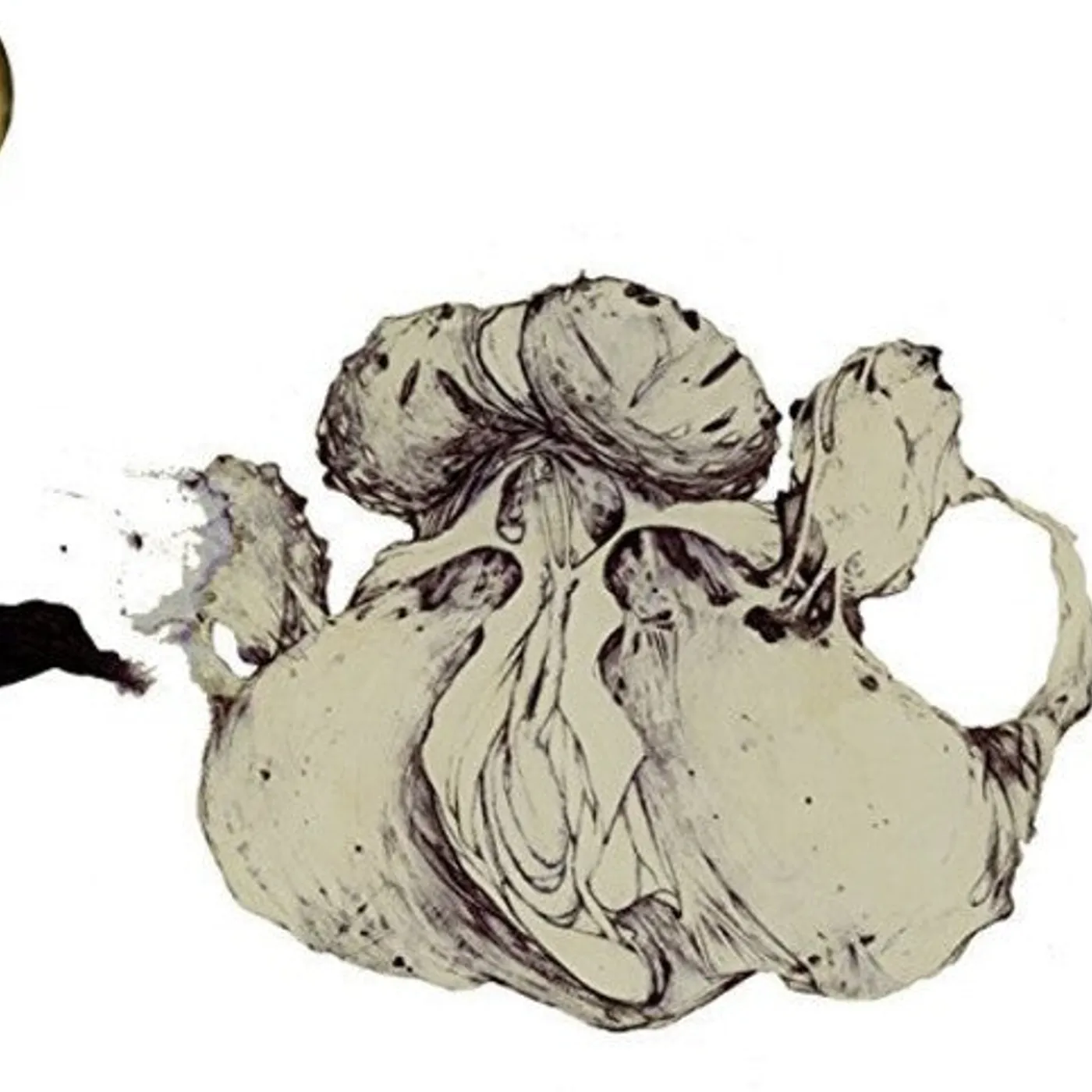 Coil LP Vinyl - Ape Of Naples