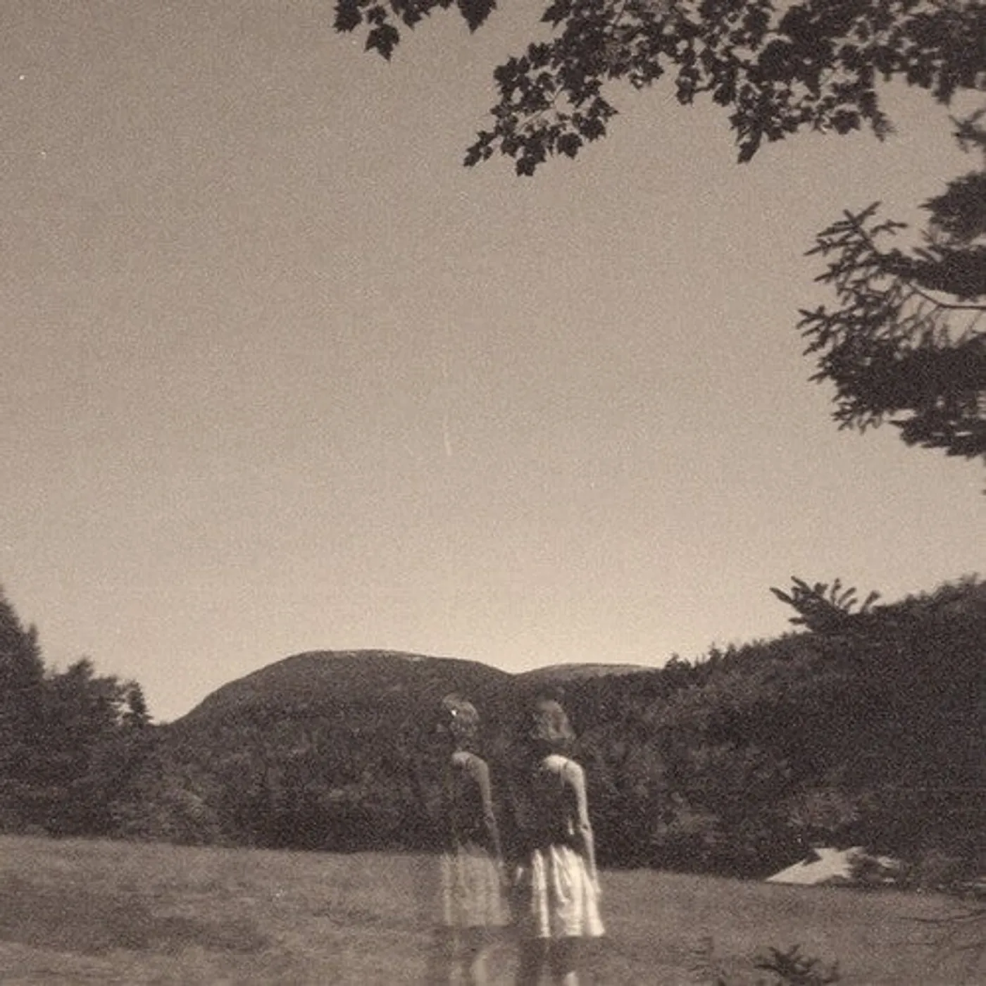 Goldmund LP Vinyl - Malady Of Elegance