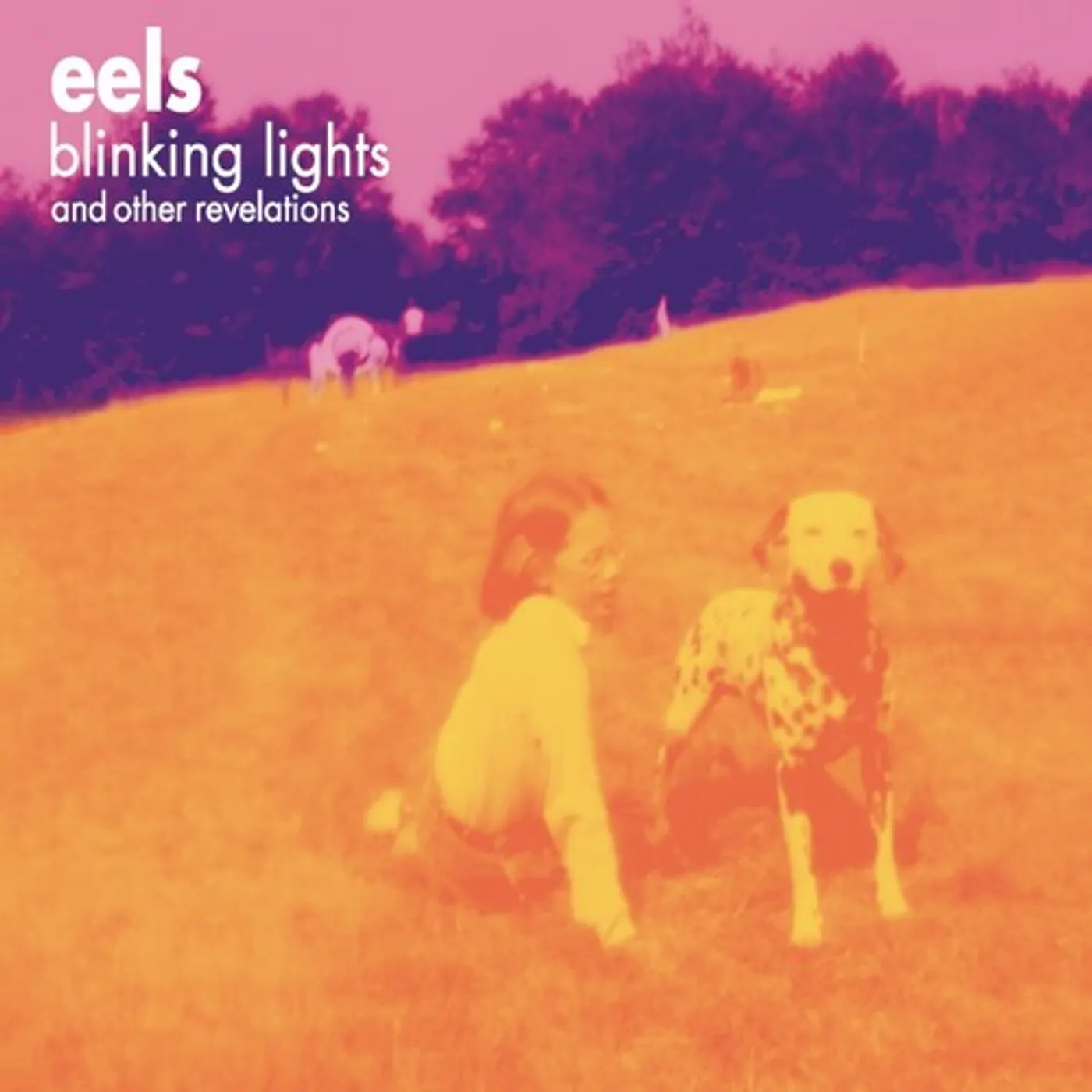 Eels LP Vinyl - Blinking Lights And Other Revelations