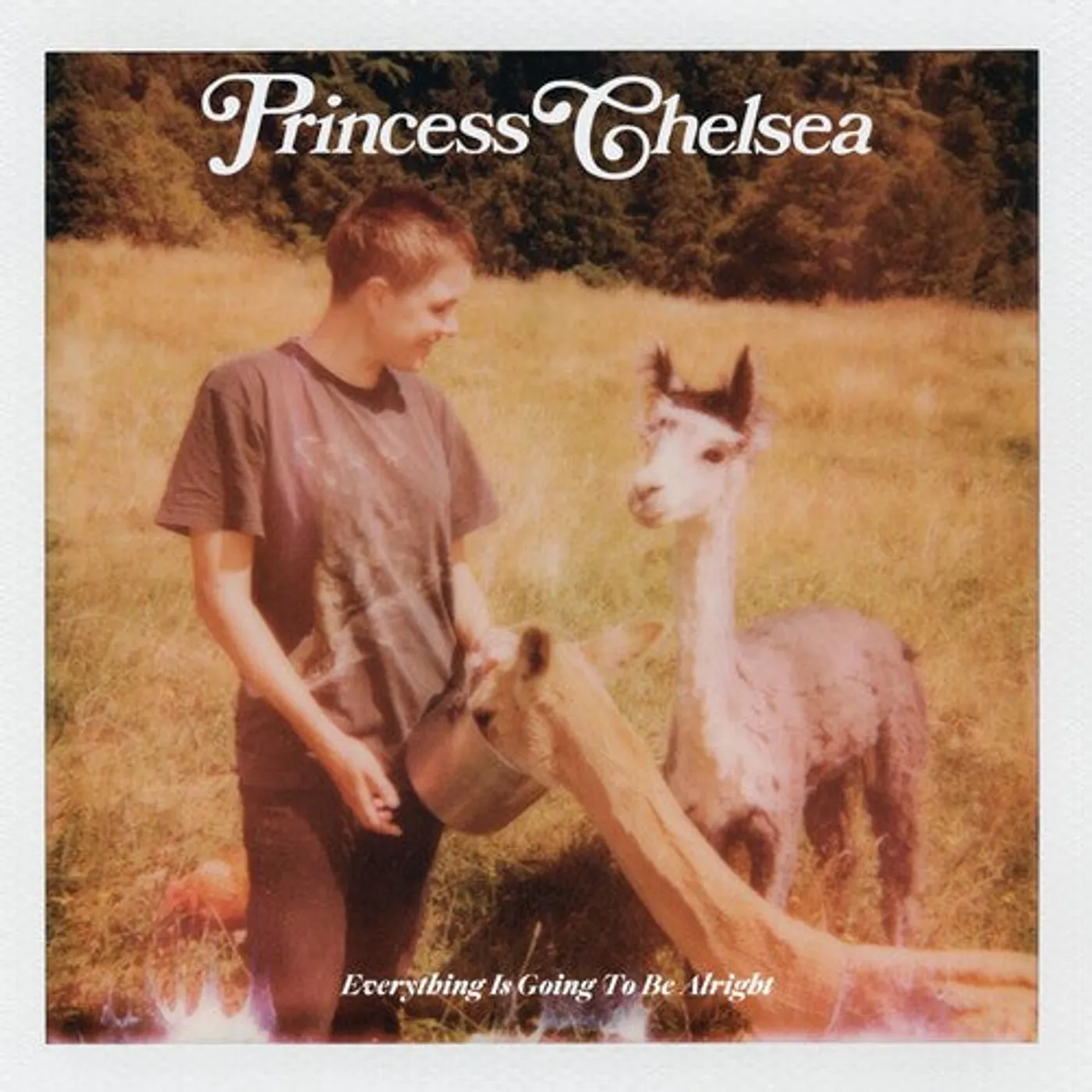 Princess Chelsea LP Vinyl - Everything Is Going To Be Alright