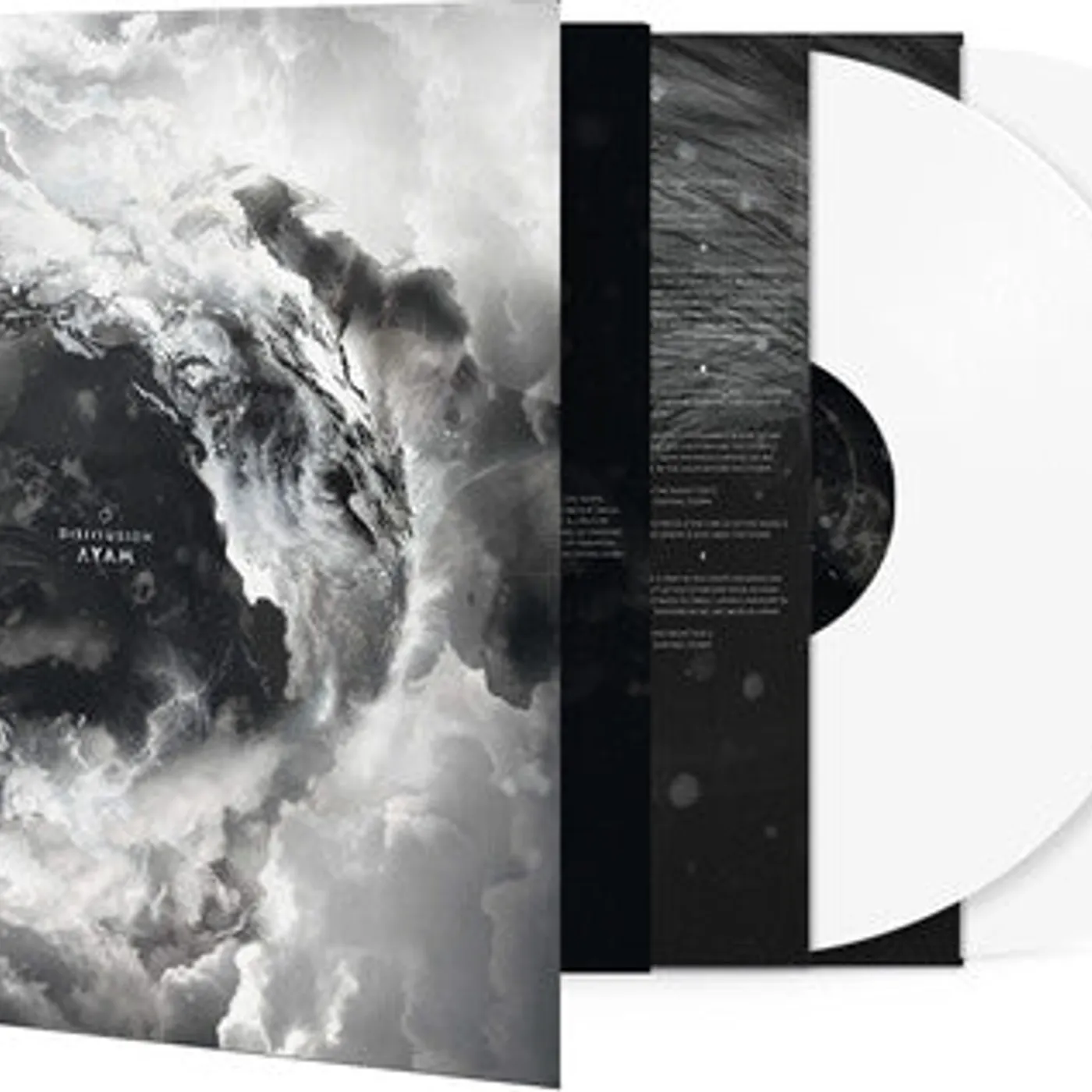 Disillusion LP Vinyl - Ayam (Coloured Vinyl) (Gate Fold) (Ltd) (Ofgv) (Wht) (Reis)