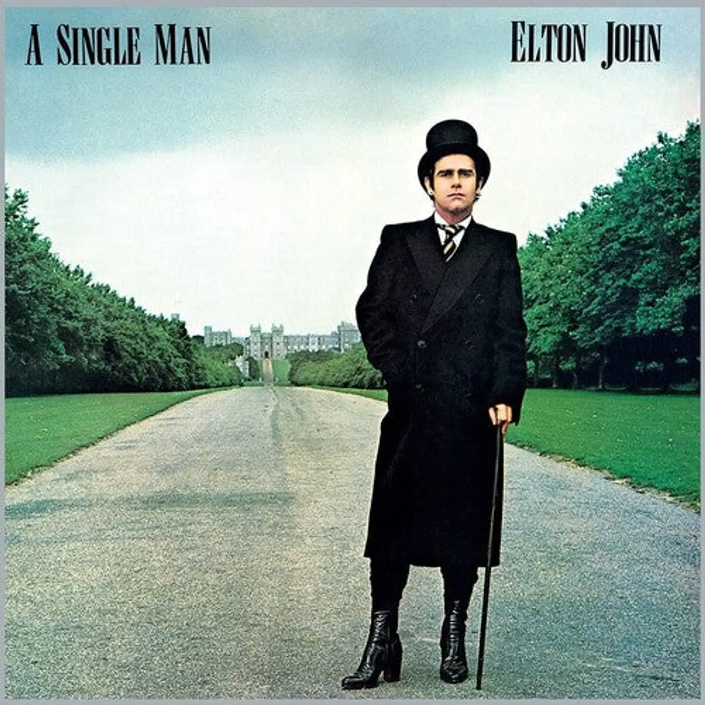 Elton John LP Vinyl - Single Man