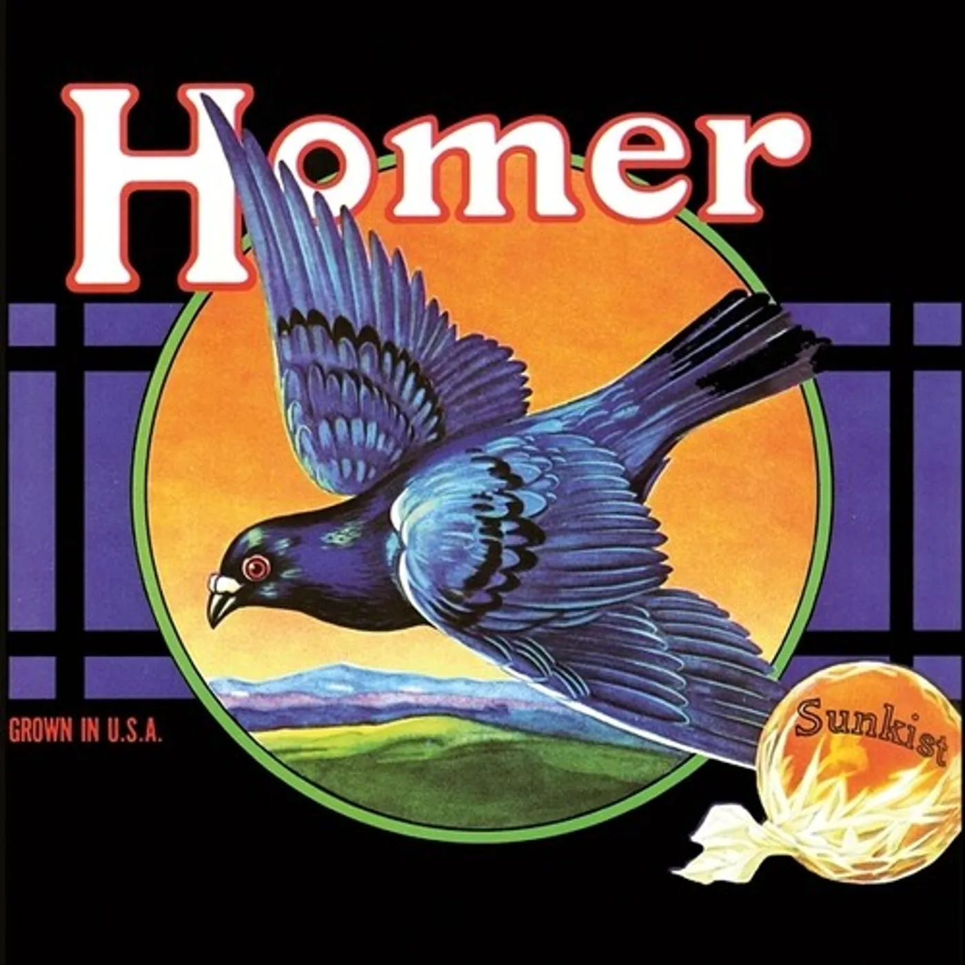Homer LP Vinyl - Grown In Usa