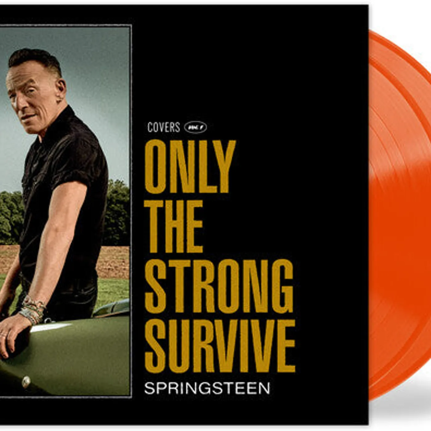 Bruce Springsteen LP Vinyl - Only The Strong Survive (Coloured Vinyl) (Gate Fold) (Org) (Post)