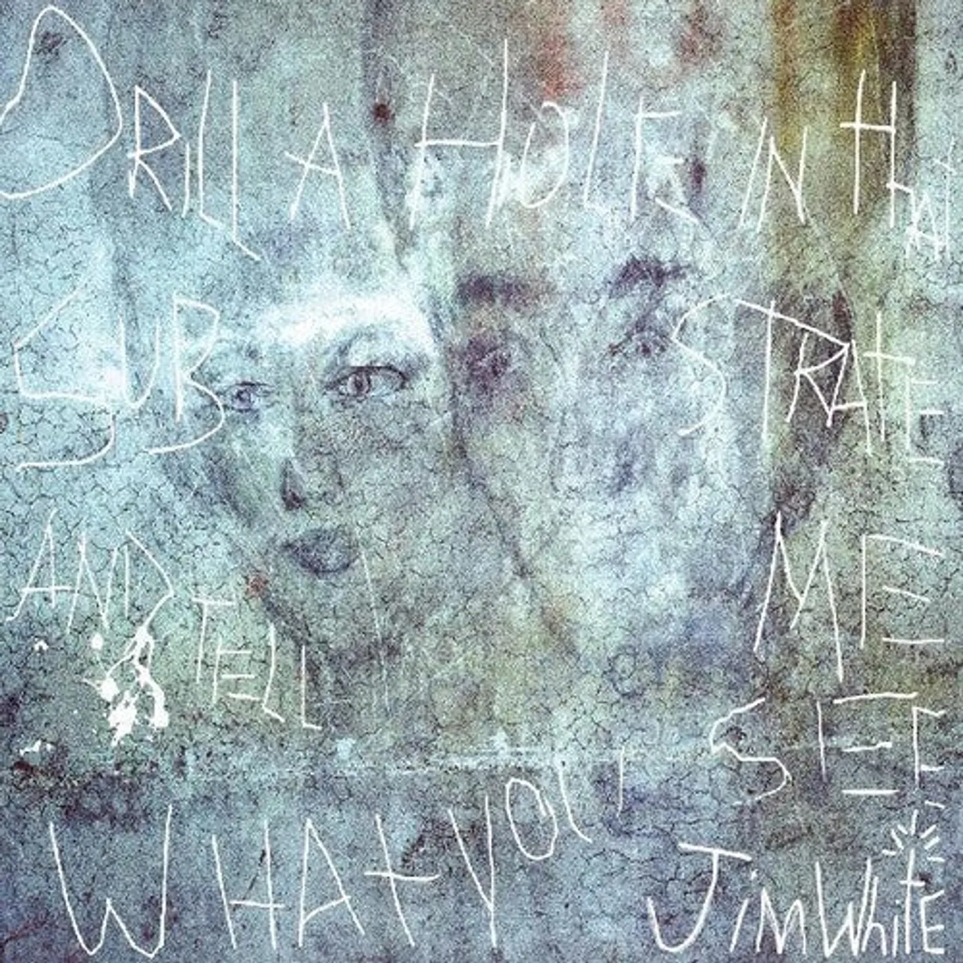 Jim White LP Vinyl - Drill A Hole In That Substrate And Tell Me What