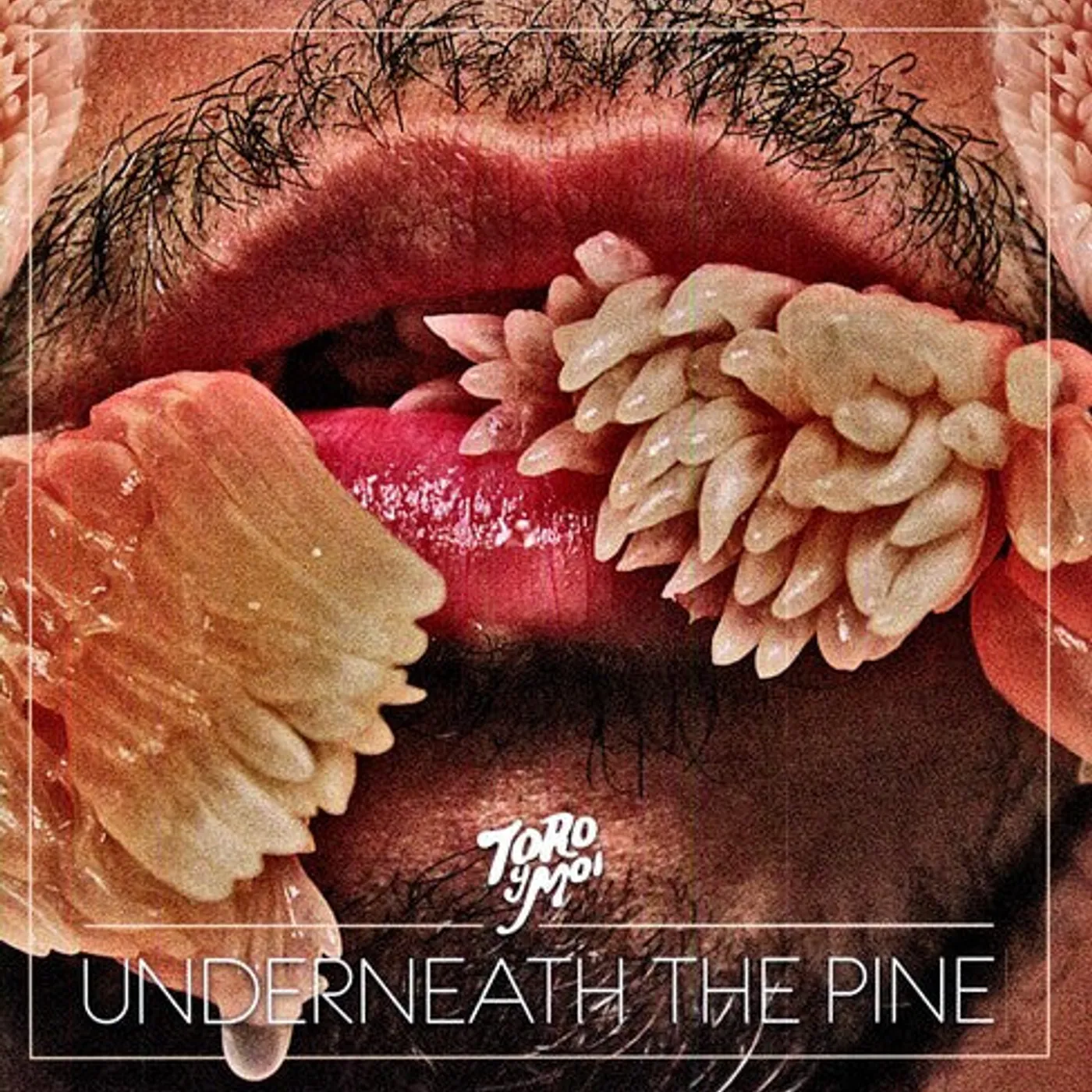 Toro y Moi LP Vinyl - Underneath The Pine