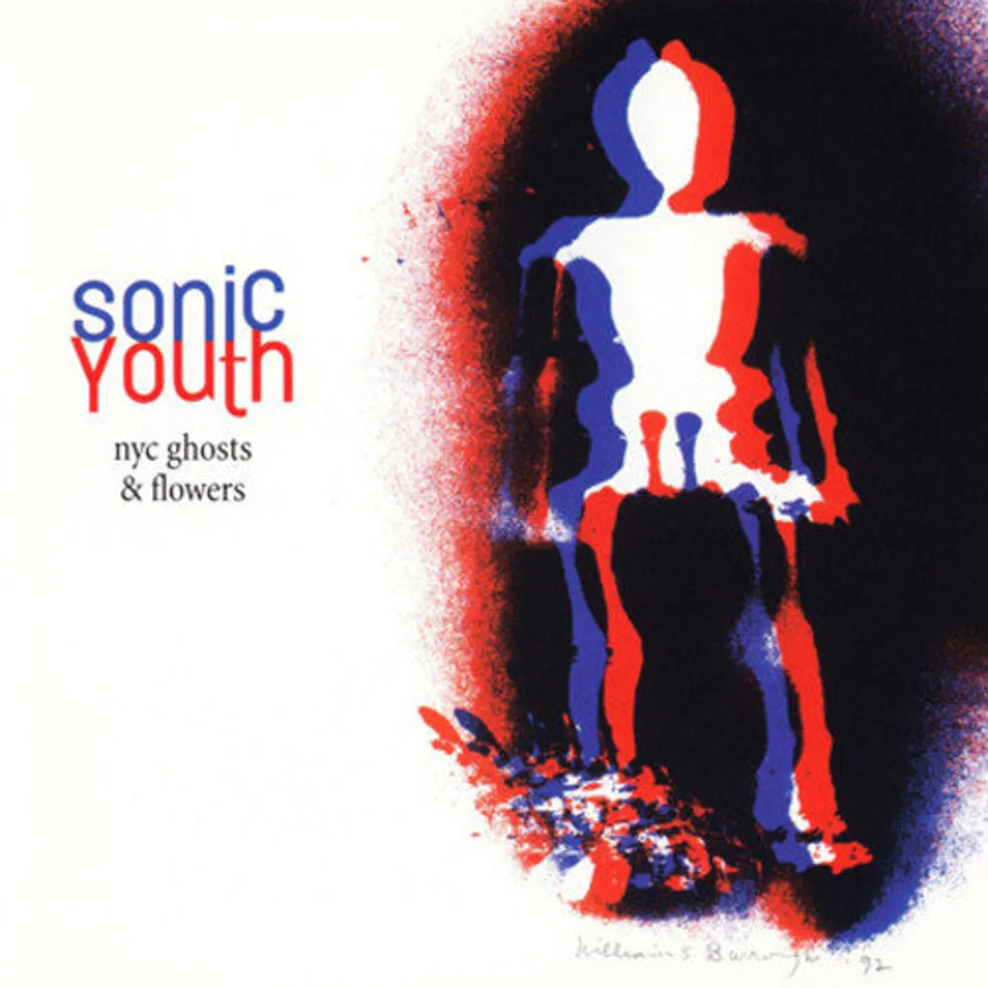 Sonic Youth LP Vinyl - Nyc Ghosts & Flowers