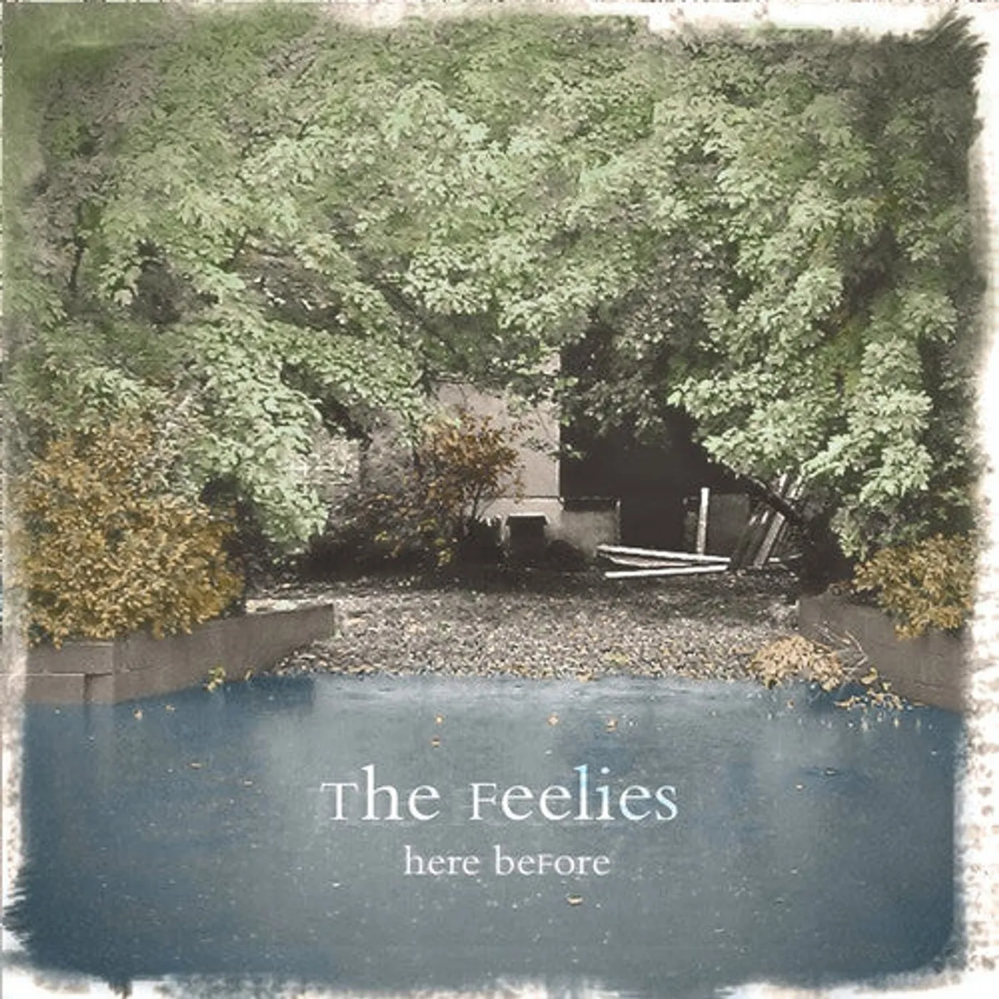 The Feelies LP Vinyl - Here Before (Ogv) (Dlcd)