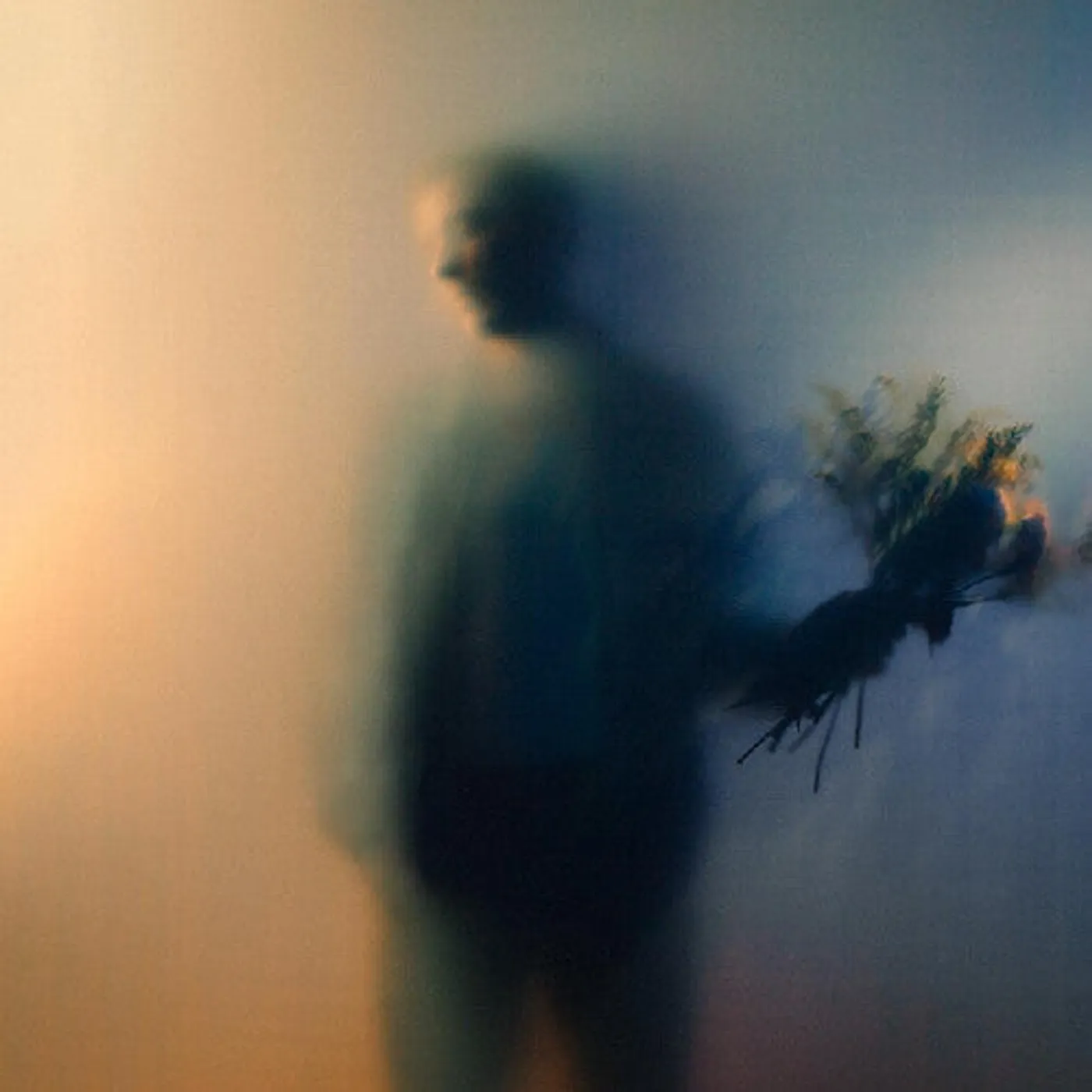 Ben Bohmer LP Vinyl - Bloom (Blk) (Coloured Vinyl) (Gate Fold) (Pech) (Dlcd)