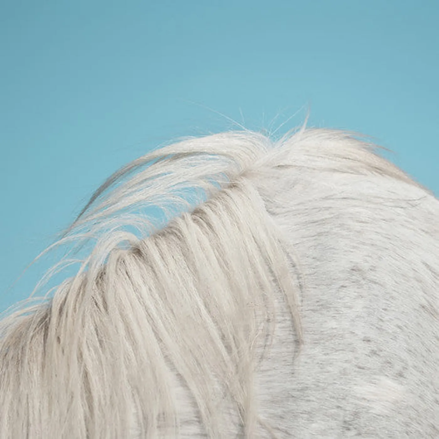 Widowspeak LP Vinyl - All Yours (Post) (Mpdl)