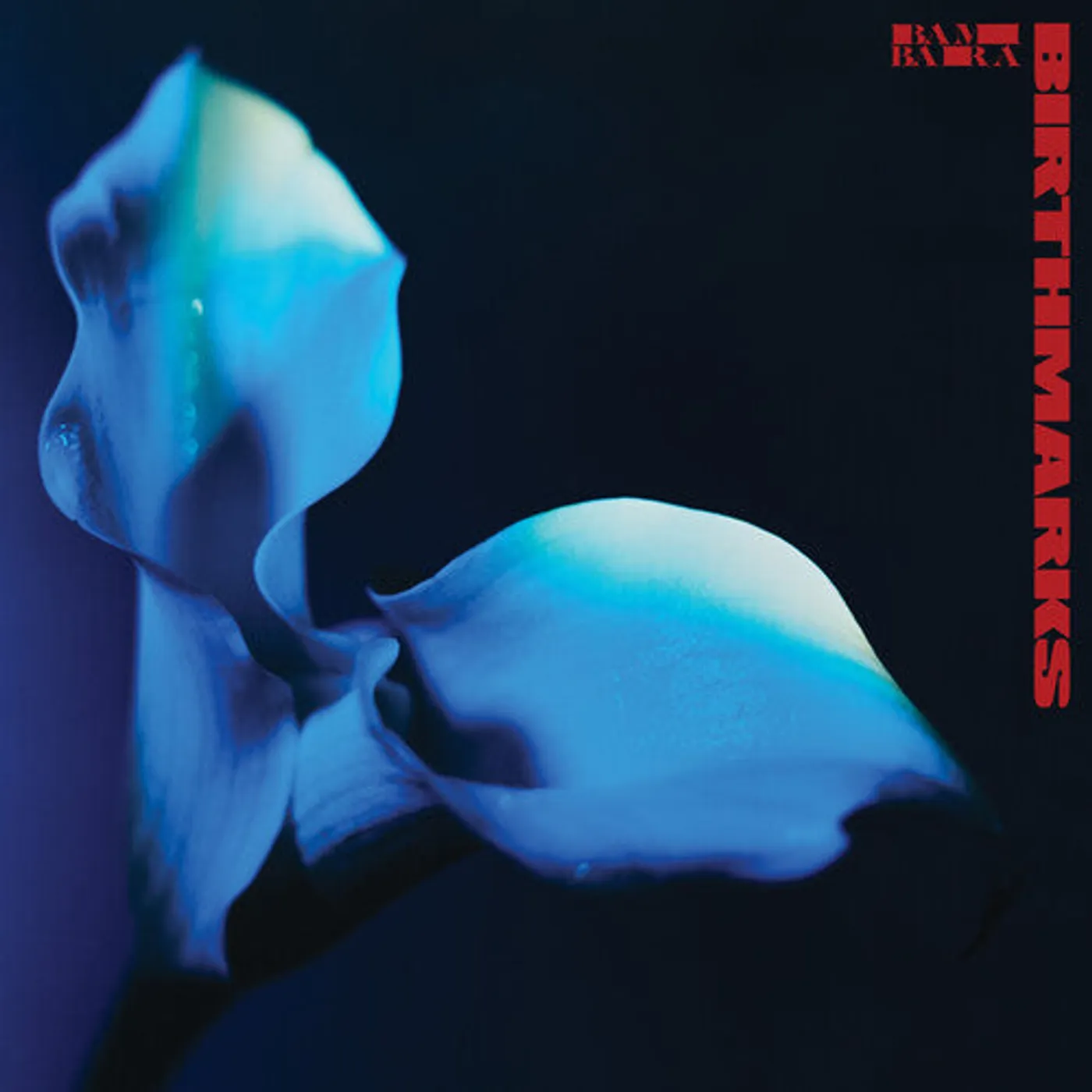 Bambara LP Vinyl - Birthmarks (Cvnl)