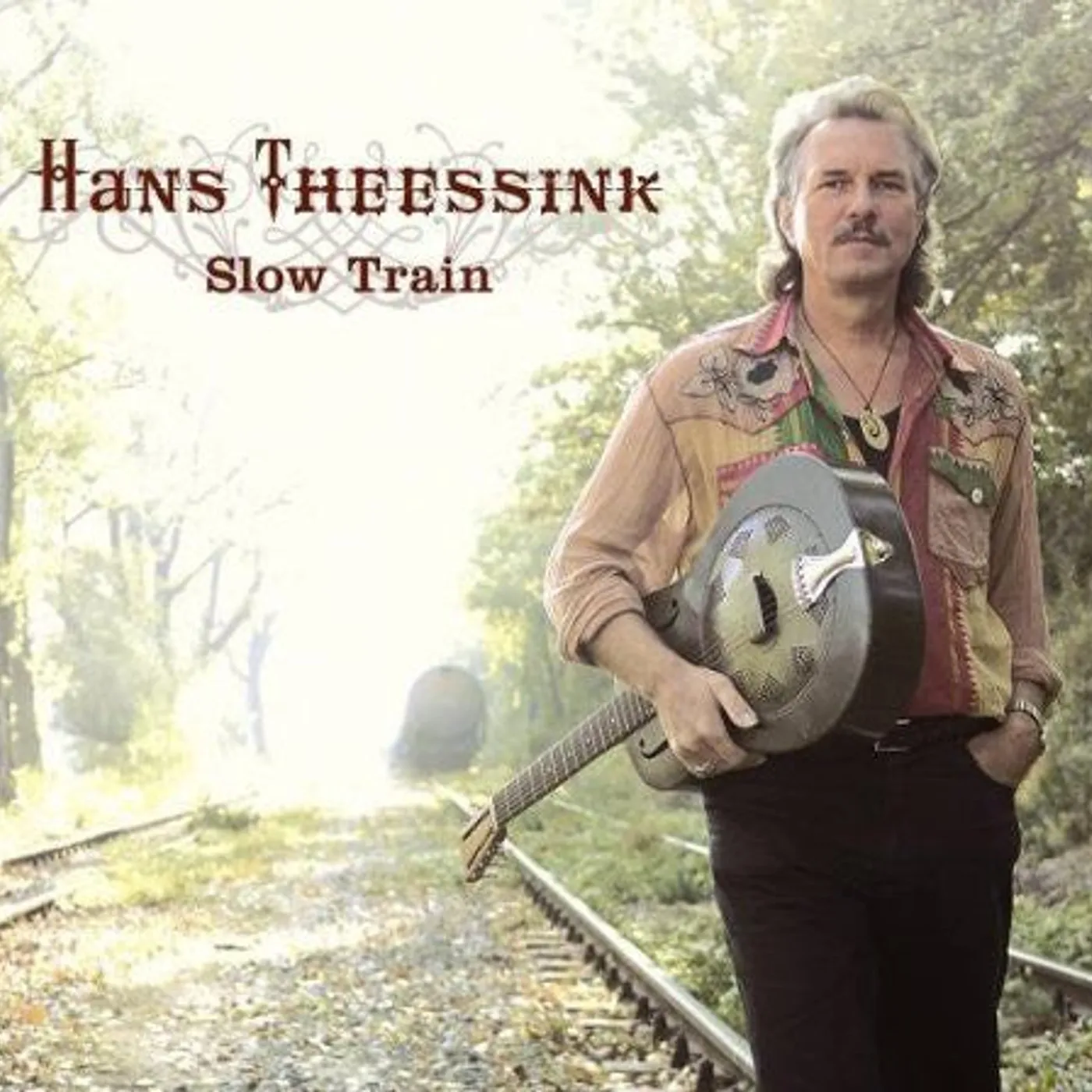 Hans Theessink LP Vinyl - Slow Train (Ogv)