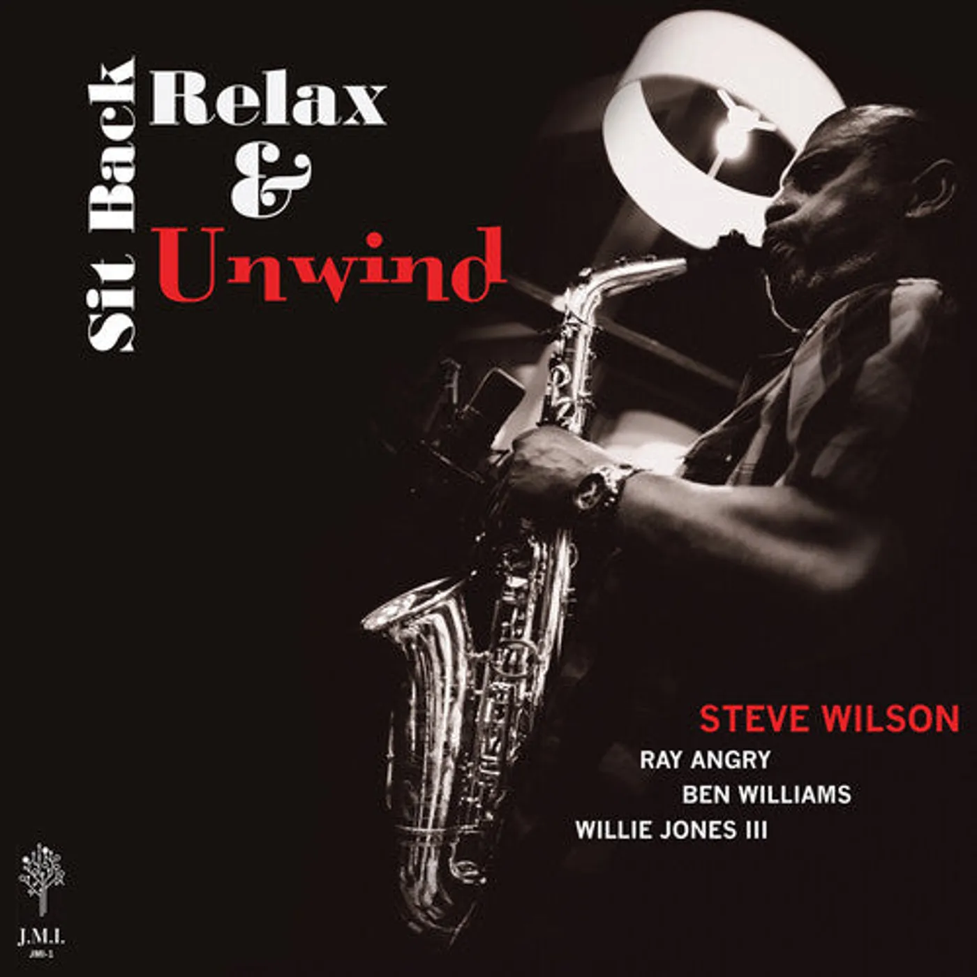 Steve Wilson LP Vinyl - Sit Back Relax & Unwind (Gate Fold)