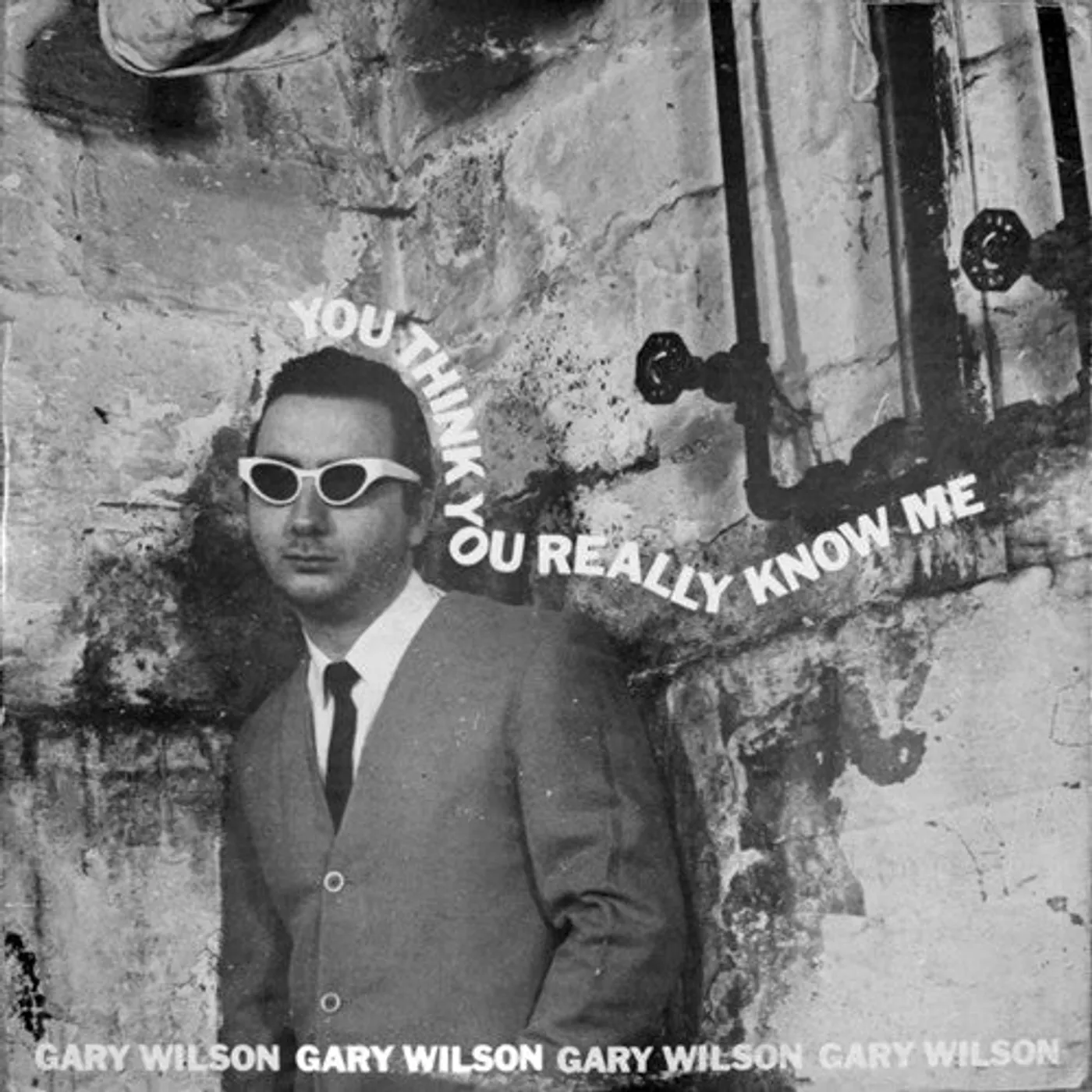 Gary Wilson LP Vinyl - You Think You Really Know Me